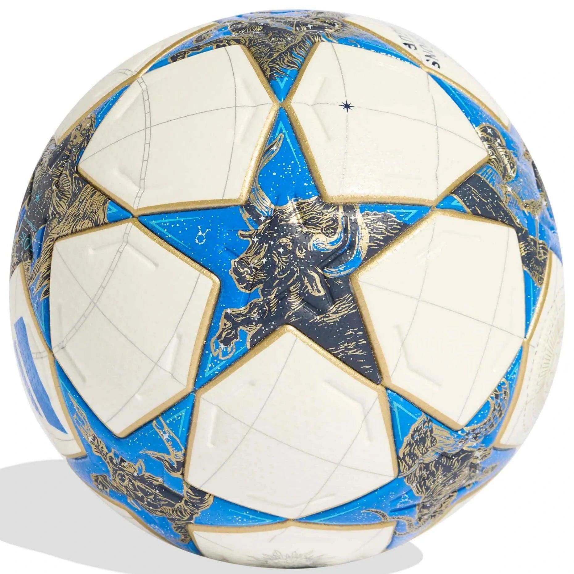 adidas 2025 UCL Pro League Stage Soccer Ball (Back)