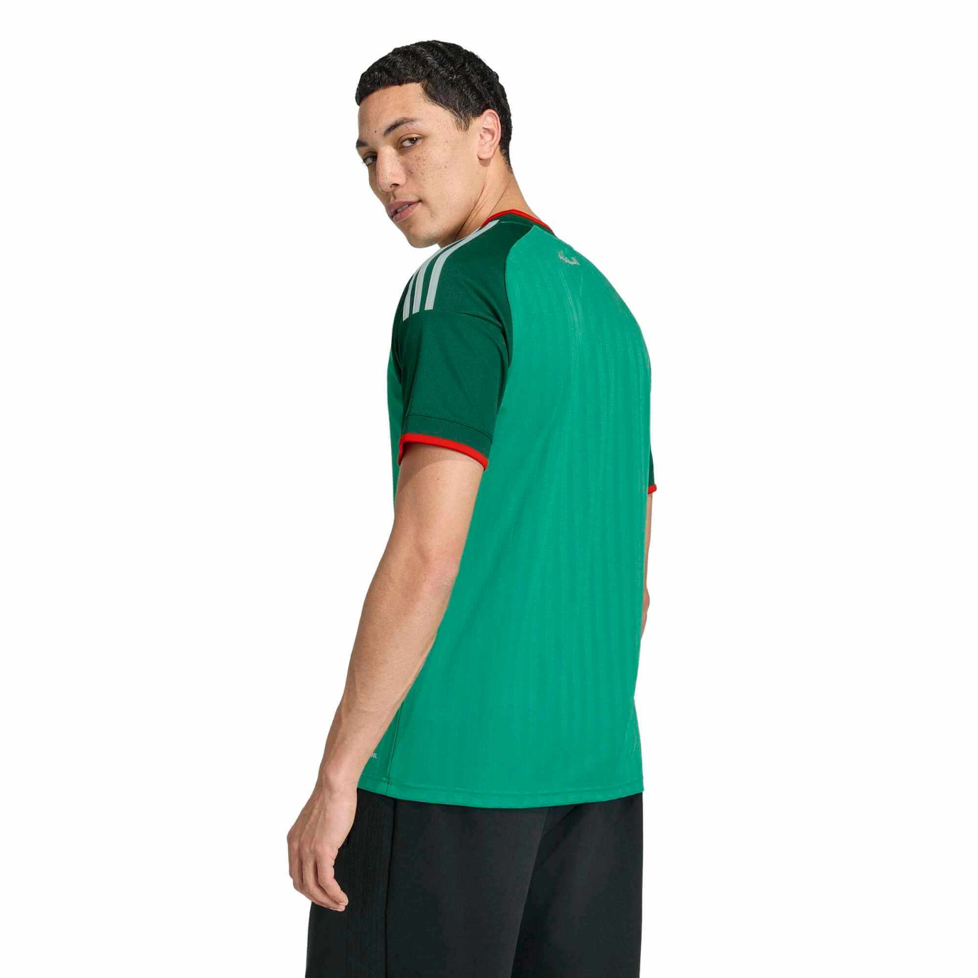 adidas 2026 Algeria Men's Stadium Away Soccer Jersey (Model - Back)