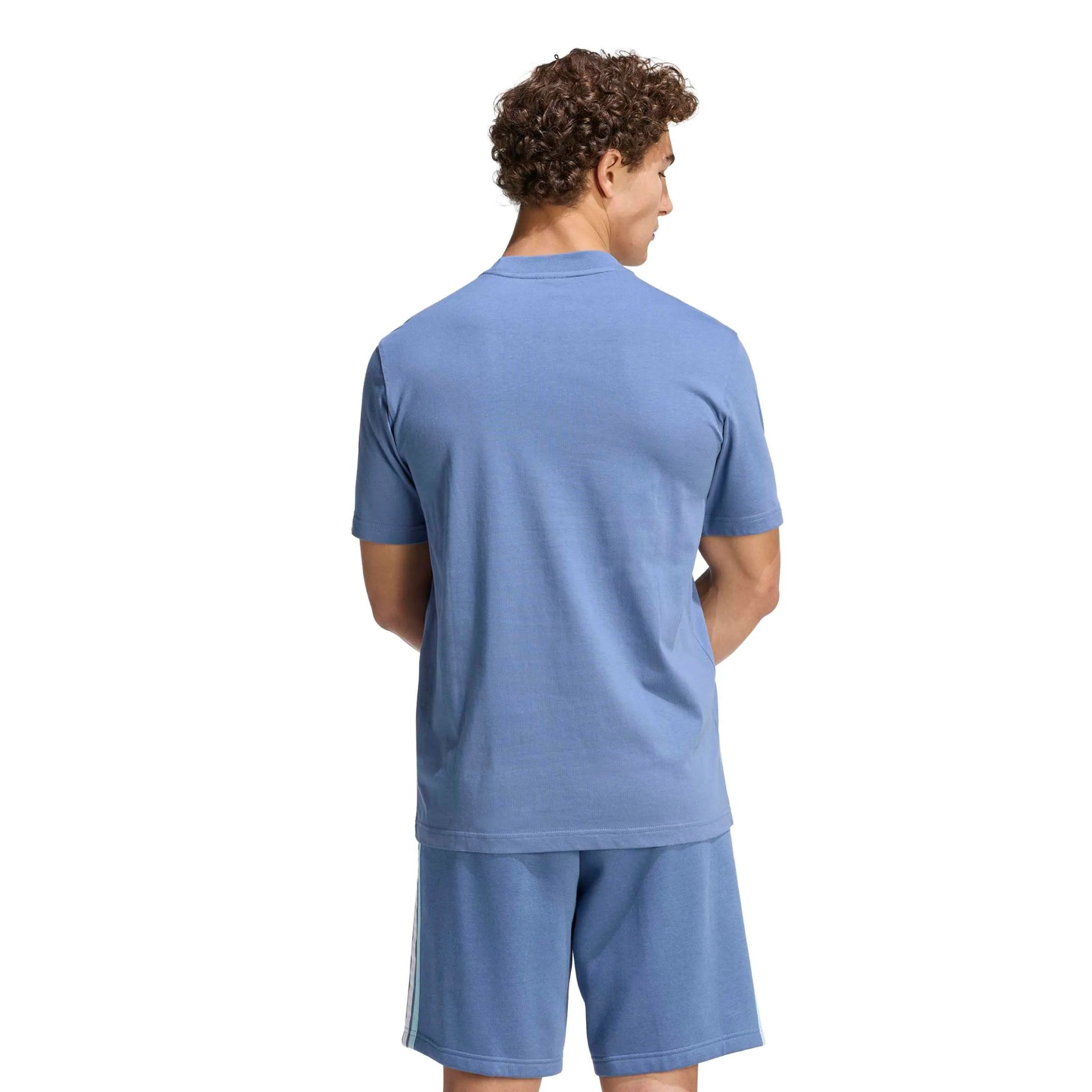 adidas 2026 Argentina Men's Amply Tee (Model - Back)