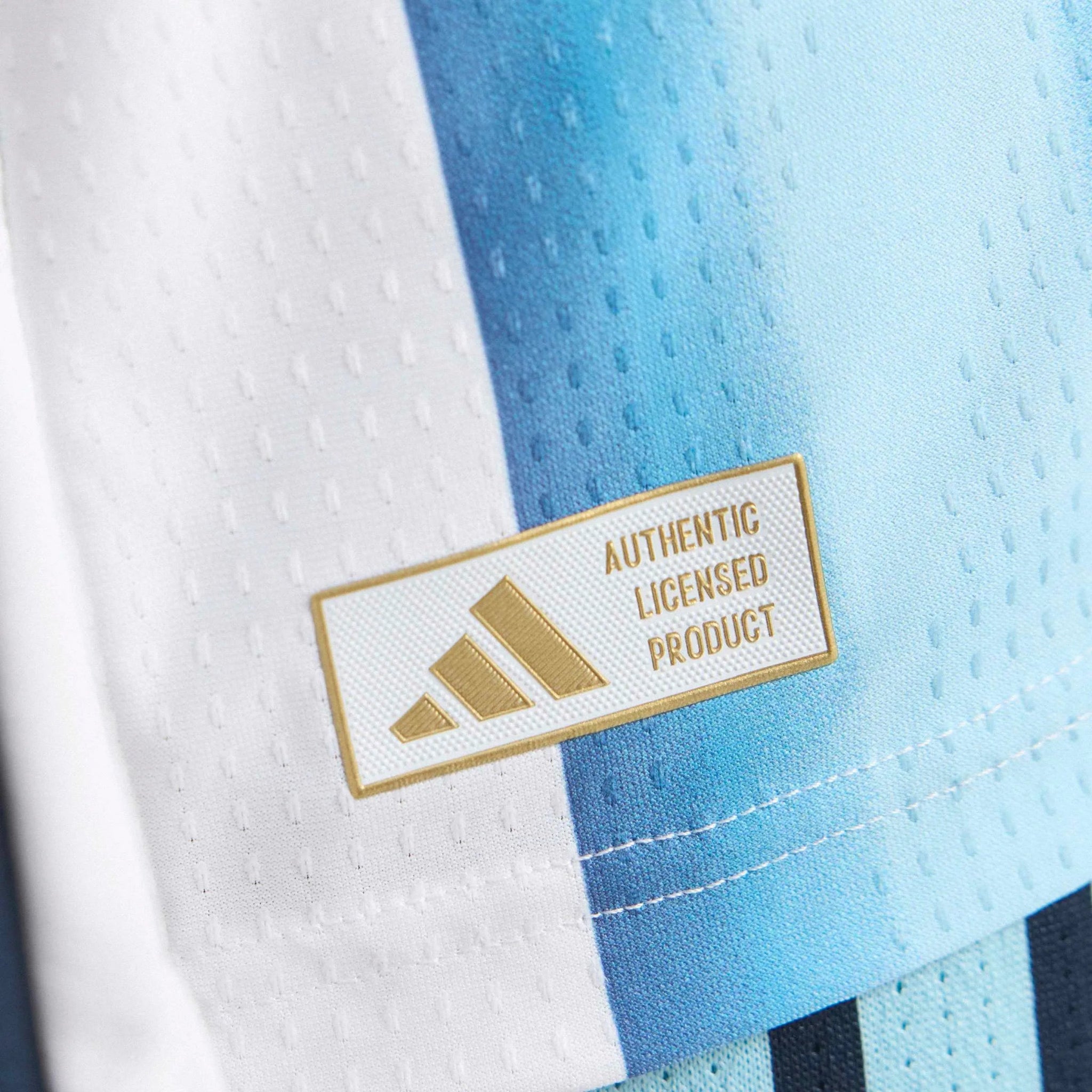 adidas 2026 Argentina Men's Authentic Home Long-Sleeve Soccer Jersey (Detail 6)
