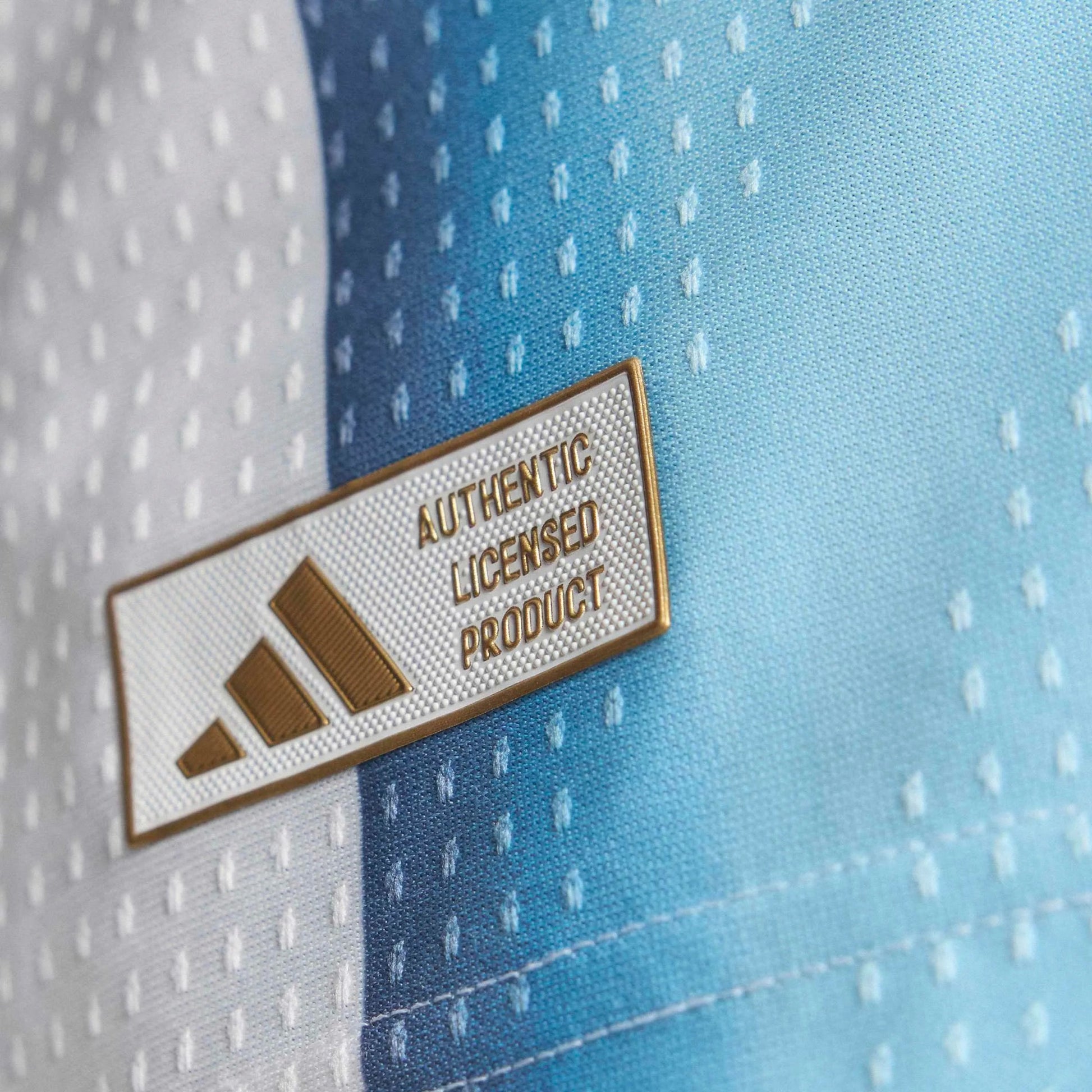 adidas 2026 Argentina Men's Authentic Home Messi #10 Soccer Jersey (Detail 6)