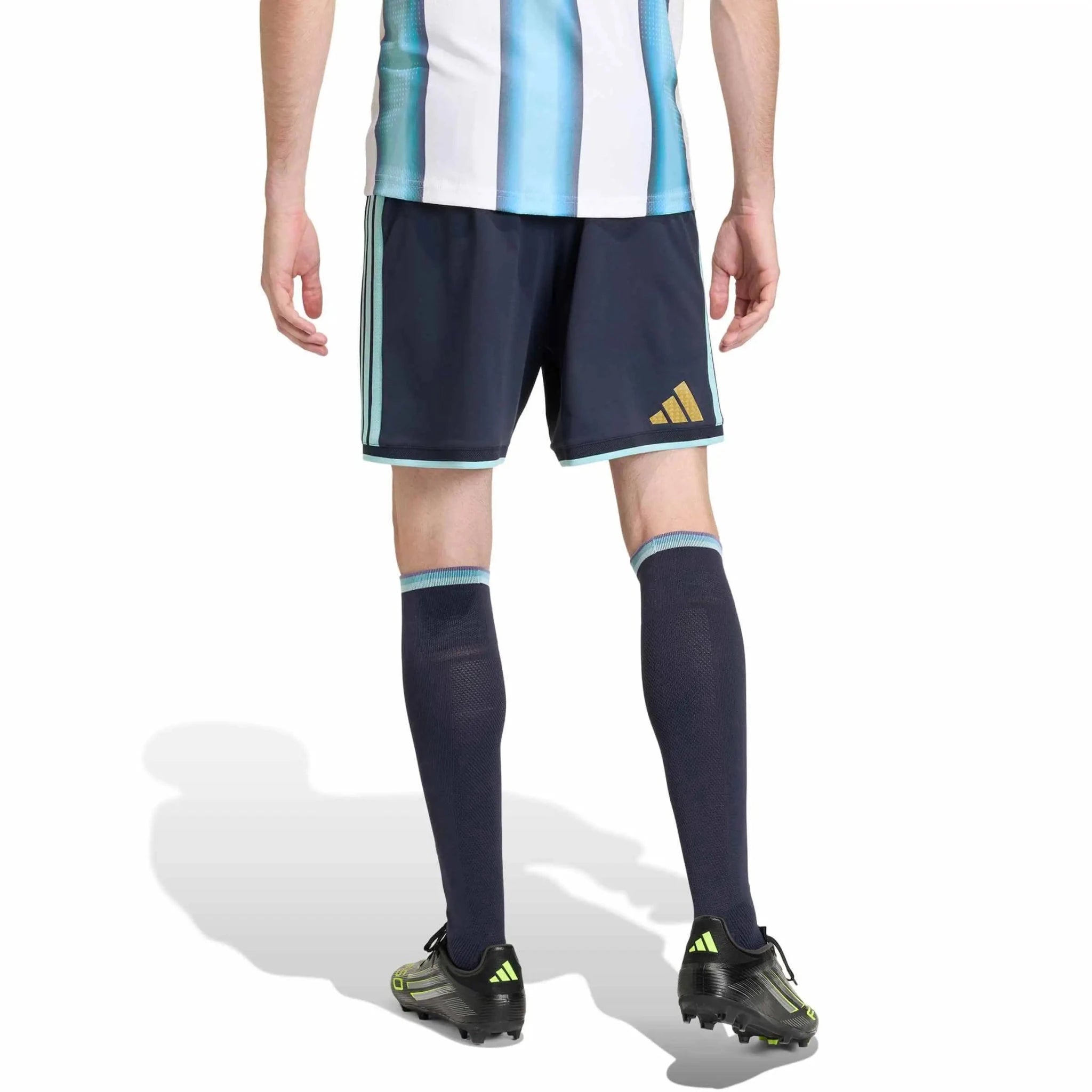 adidas 2026 Argentina Men's Authentic Home Shorts