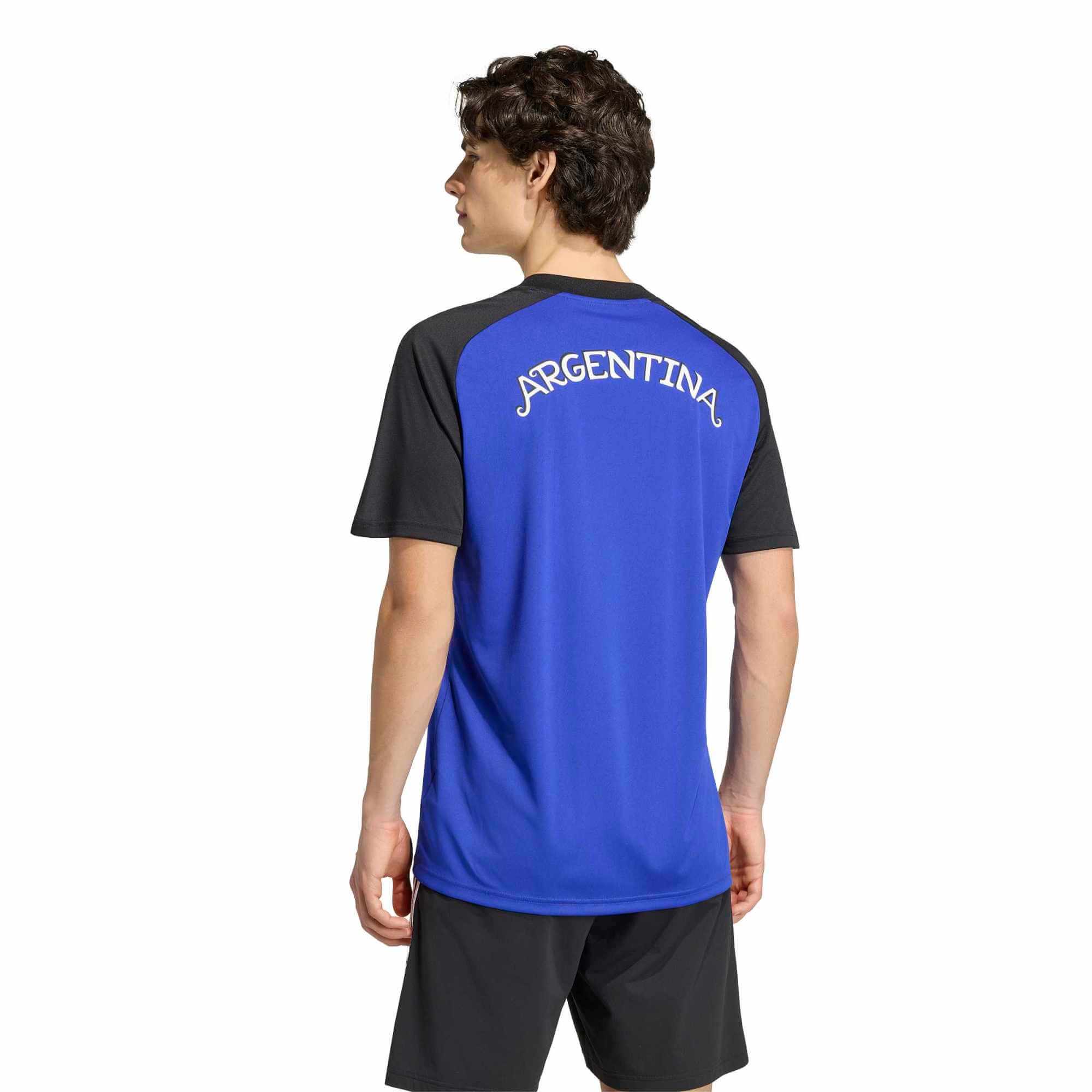 adidas 2026 Argentina Men's Away Pre-Match Soccer Jersey (Model - Back)