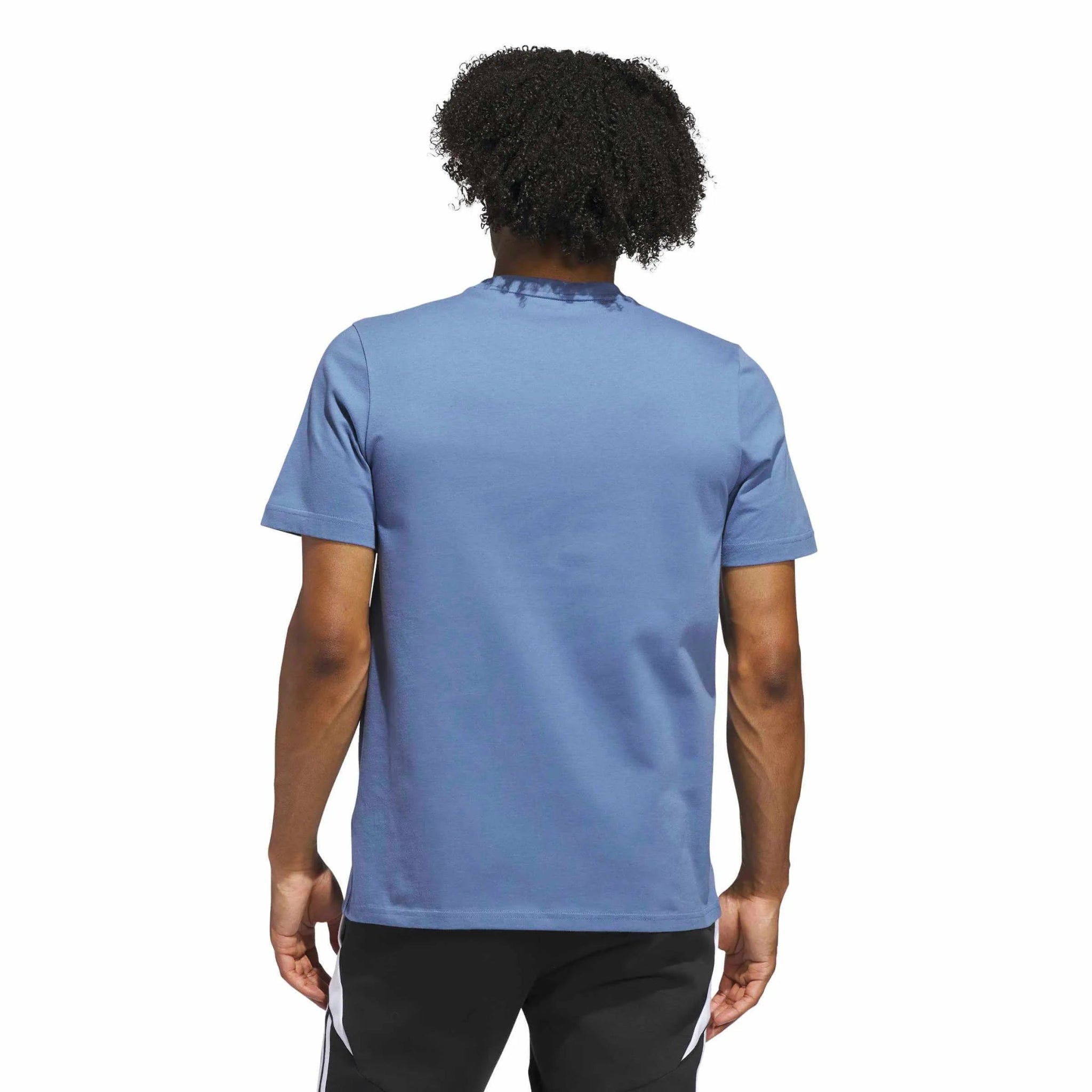 adidas 2026 Argentina Men's World Cup HJH Tee (Model - Back)