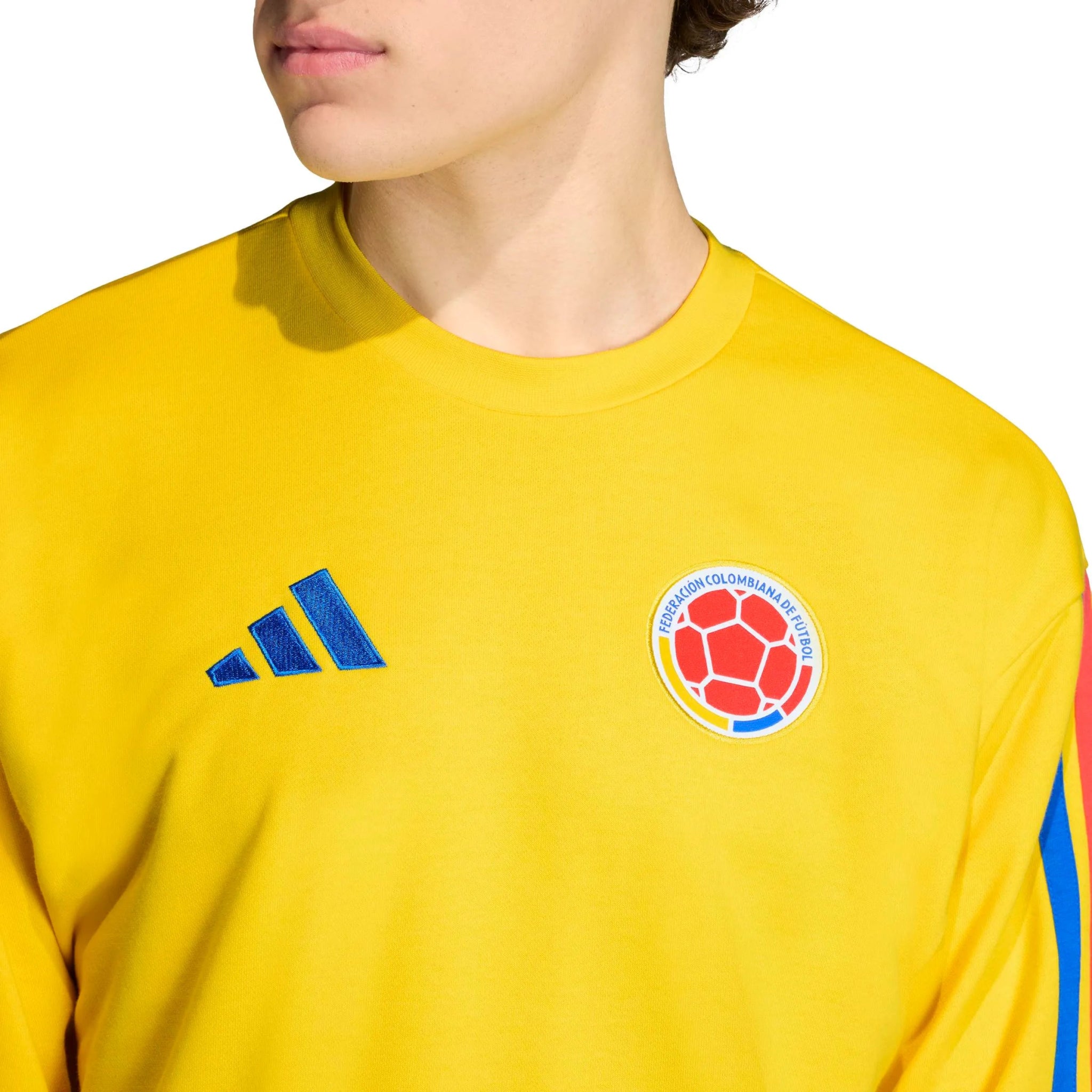 adidas 2026 Colombia Men's DNA Crew Sweatshirt (Detail 2)