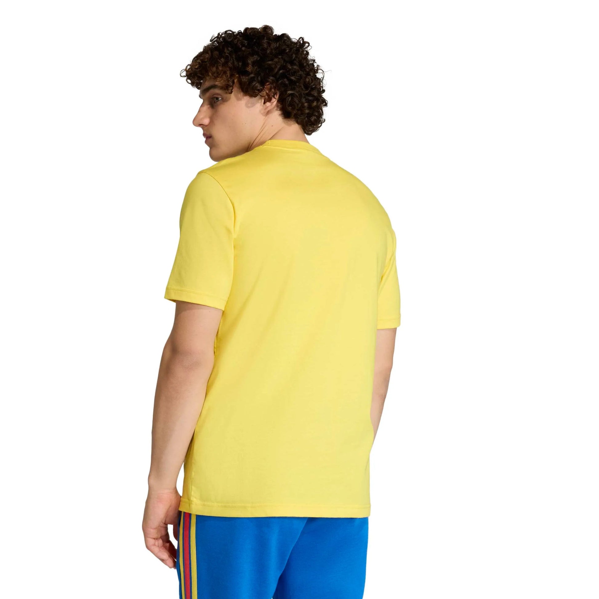 adidas 2026 Colombia Men's DNA Graphic Tee (Model - Back)