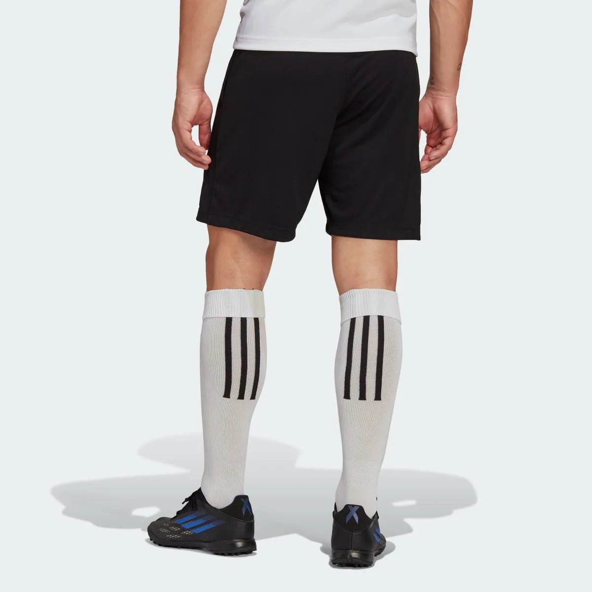 adidas Entrada 22 Training Shorts