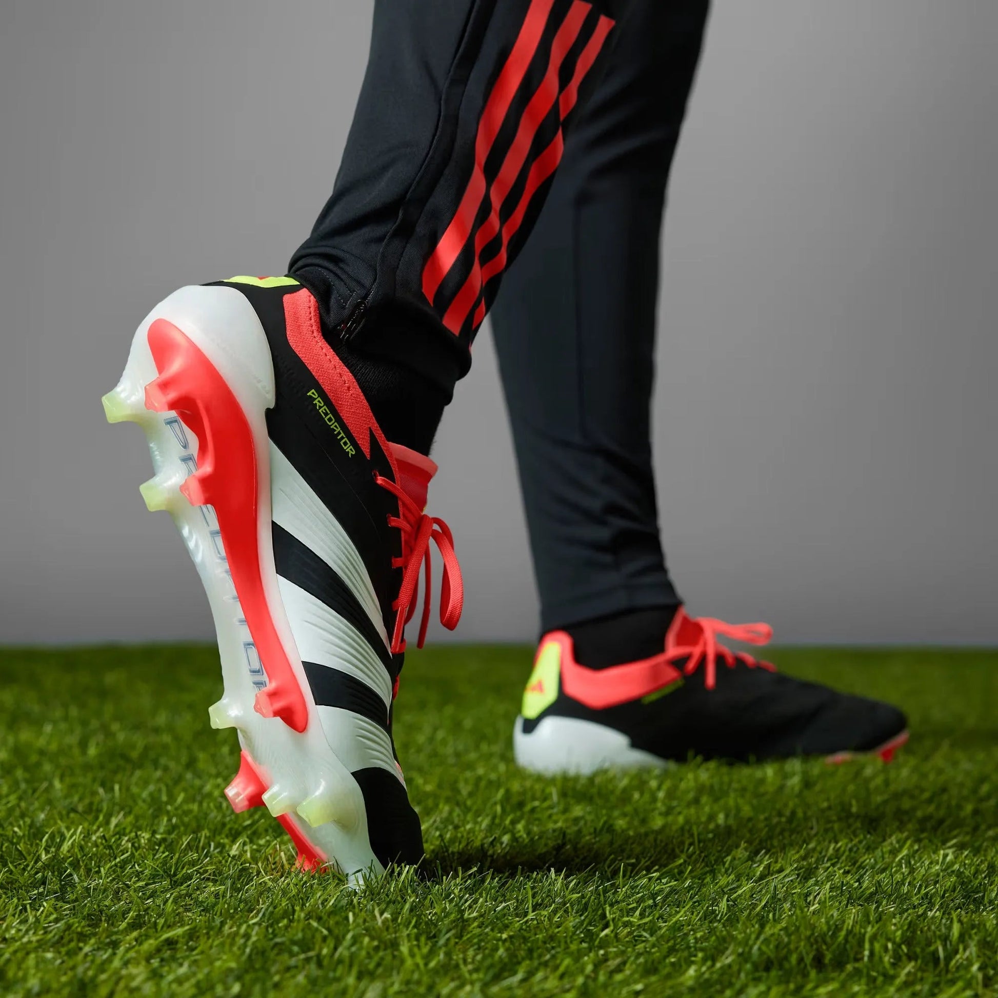 adidas Predator Elite FG - Solar Energy Pack (SP24) (Detail 2)