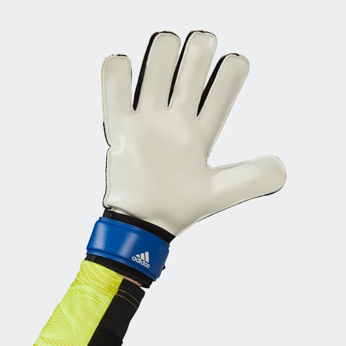 Adidas Predator Training Goalkeeper Gloves - Royal-White