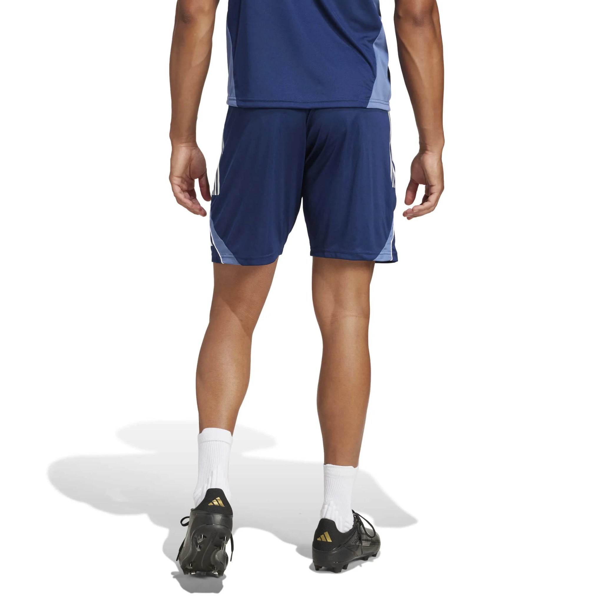 adidas Tiro25C Men's Training Shorts Navy Blue (Model - Back)