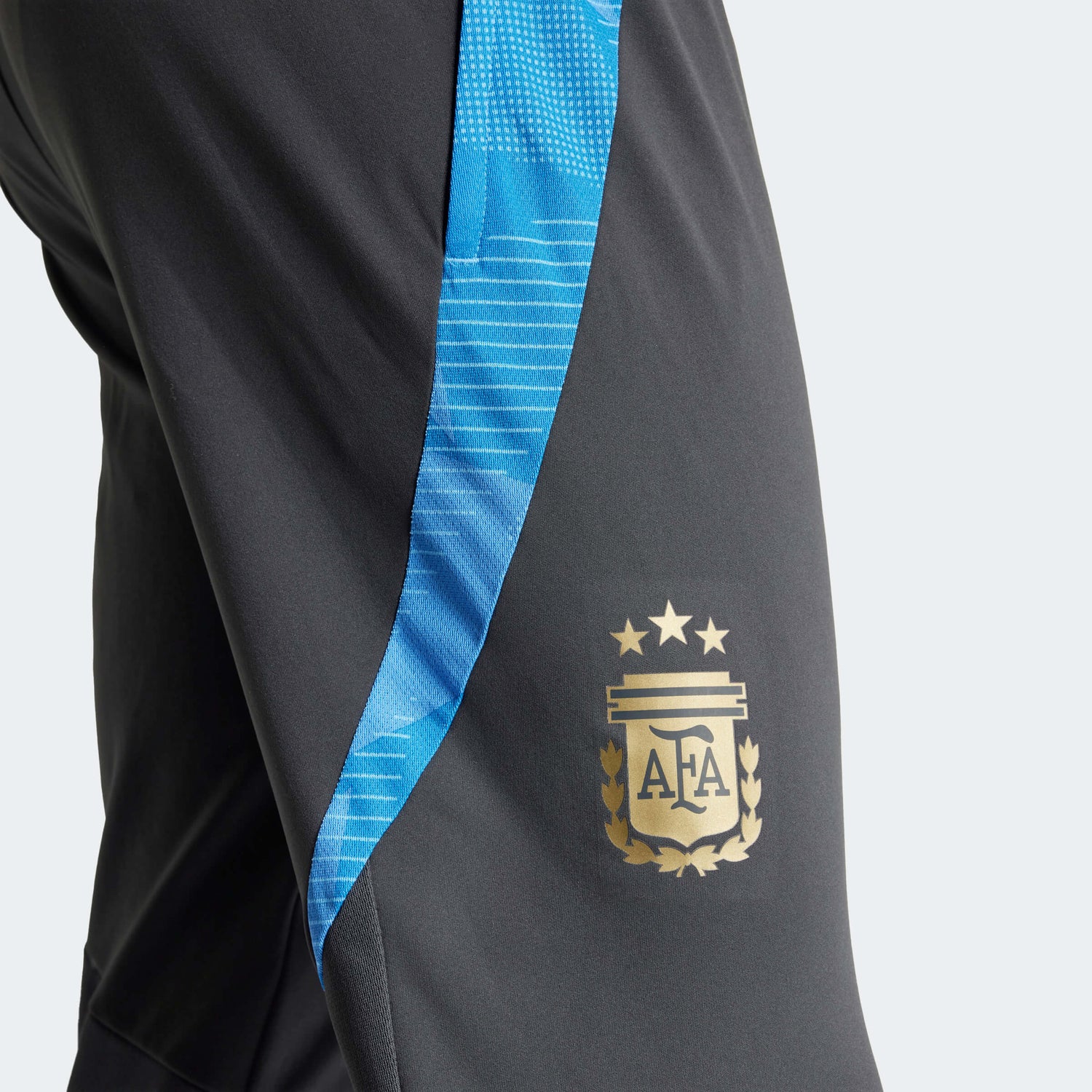 adidas 2024 Argentina Men's Training Pants (Detail 2)
