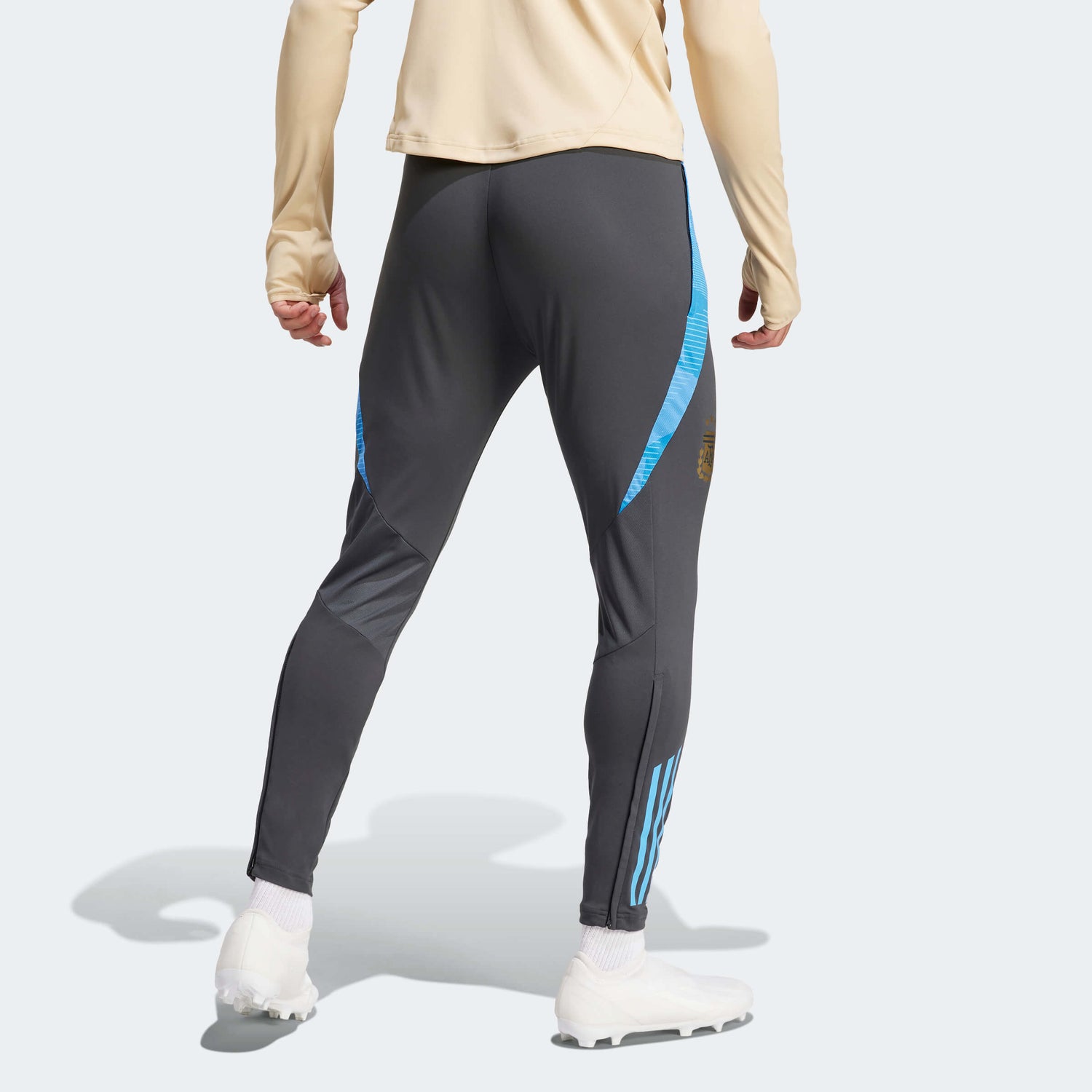 adidas 2024 Argentina Men's Training Pants (Model - Back)