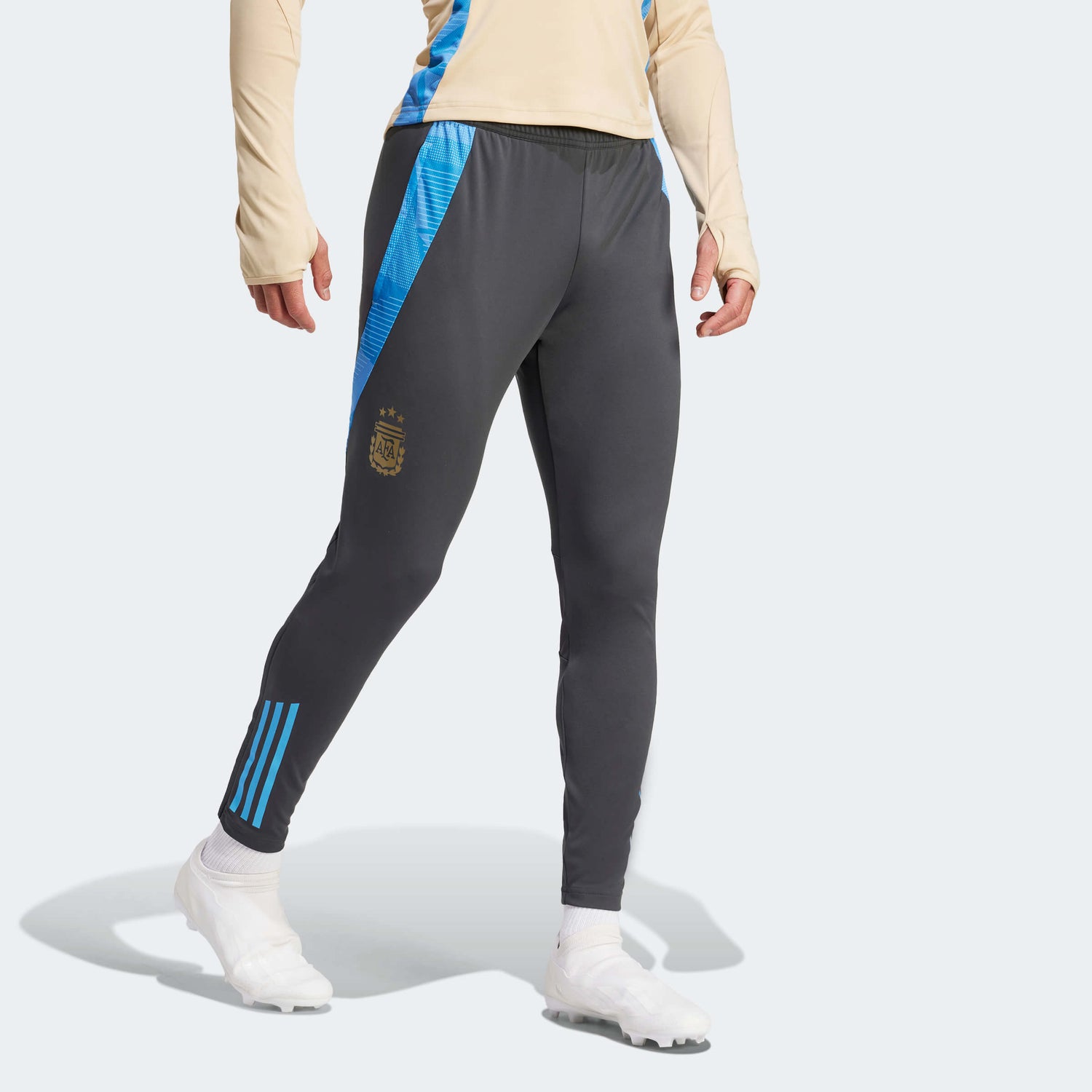 adidas 2024 Argentina Men's Training Pants (Model - Front)