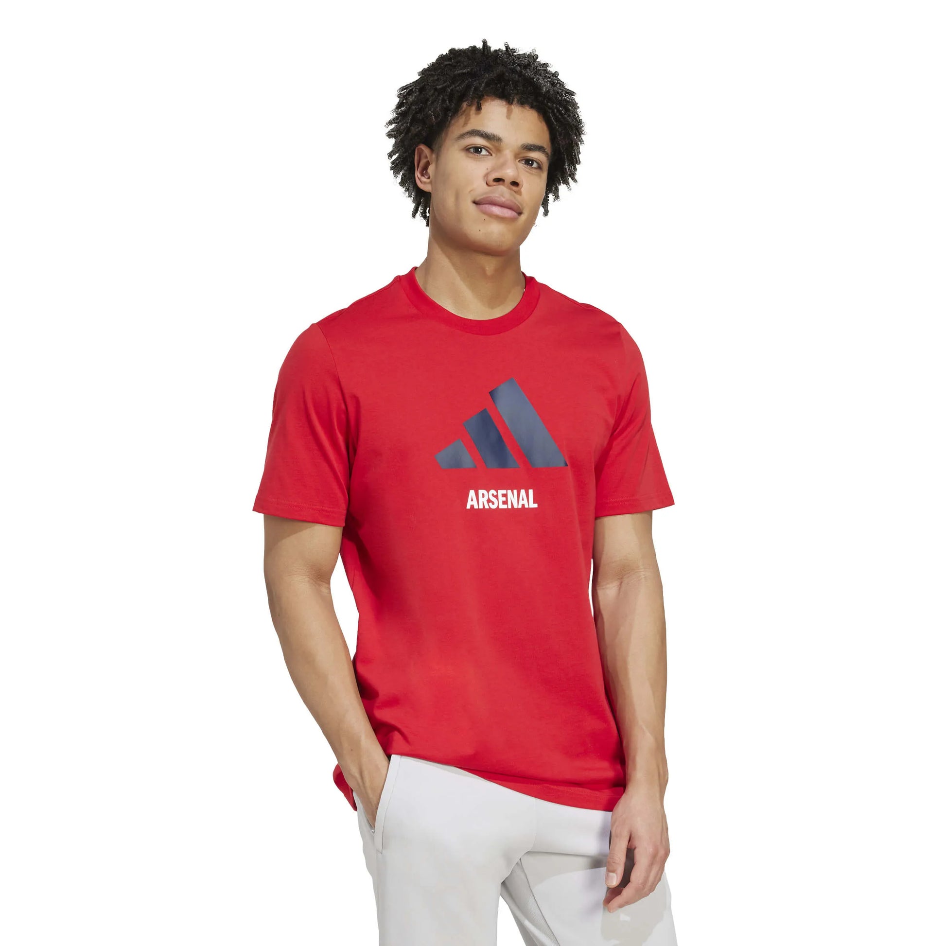 adidas 2025-26 Arsenal Men's Seasonal Graphic Tee (Model - Side)
