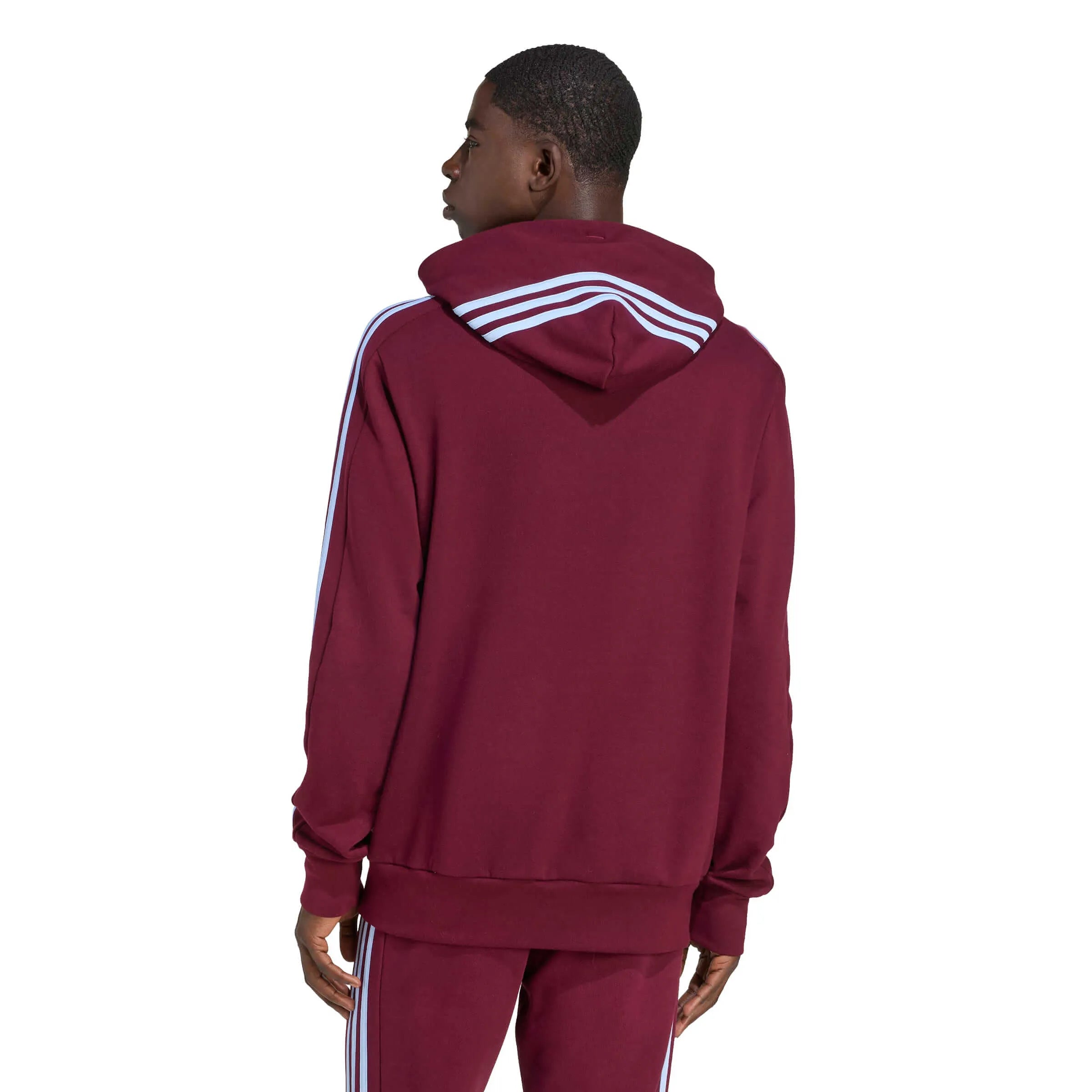 adidas 2025-26 Aston Villa Men's DNA Hoodie (Model - Back)