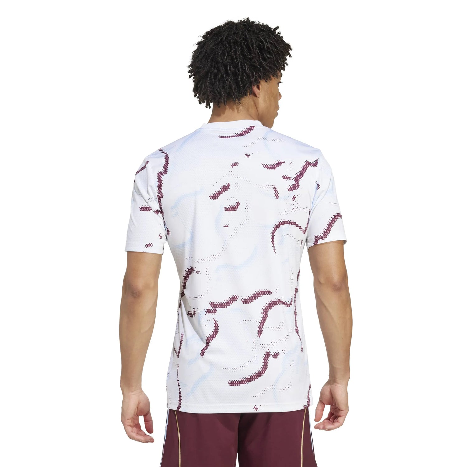 adidas 2025-26 Aston Villa Men's Pre-Match Soccer Jersey (Model - Back)