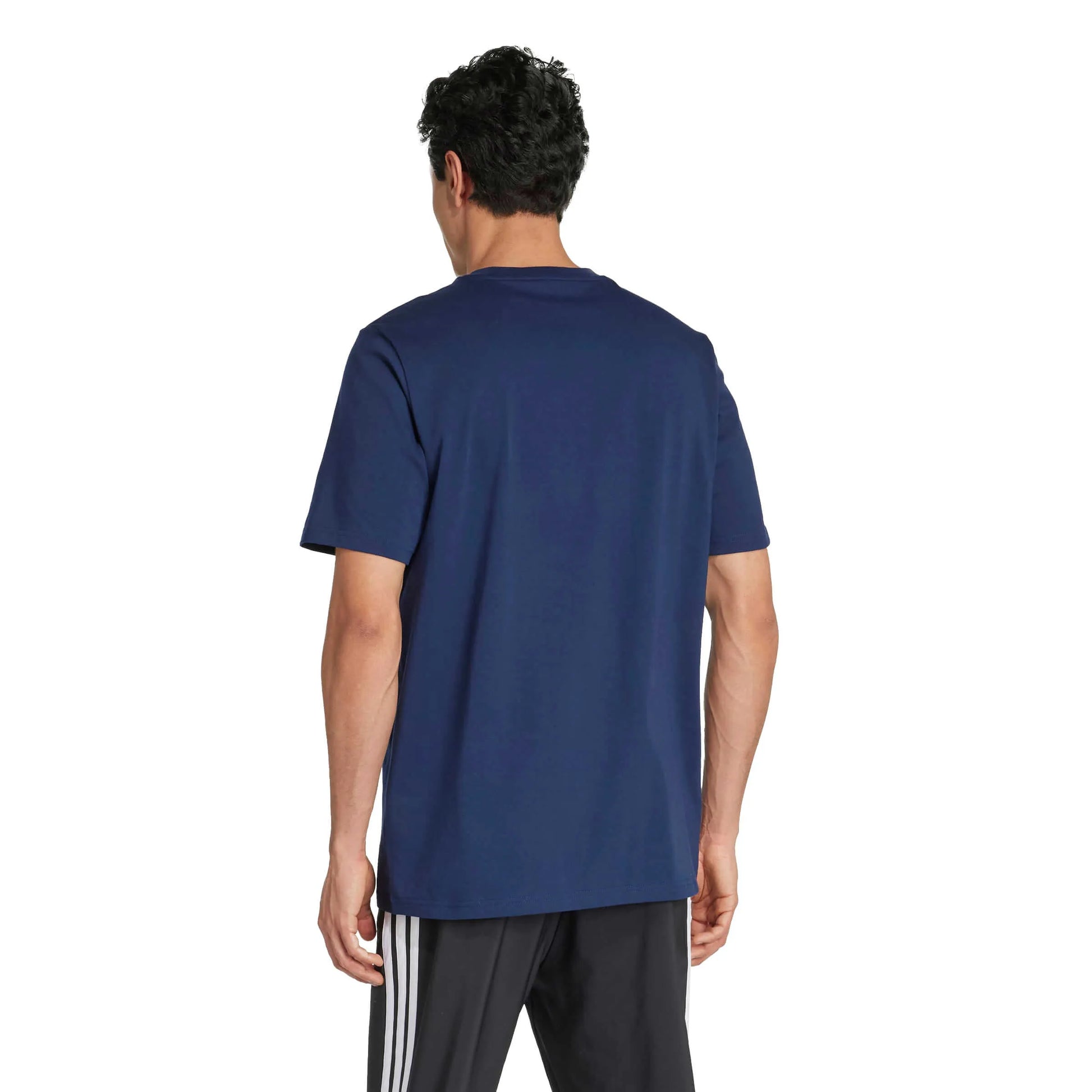 adidas 2025-26 Boca Juniors Men's Seasonal Graphic Tee (Model - Back)