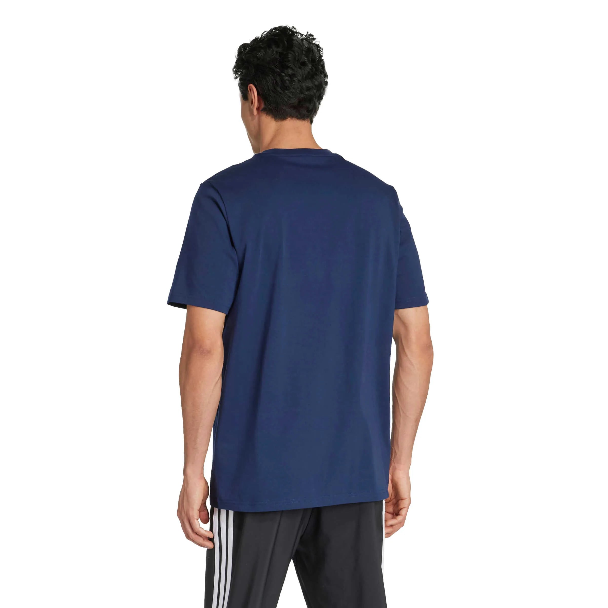 adidas 2025-26 Boca Juniors Men's Seasonal Graphic Tee (Model - Back)