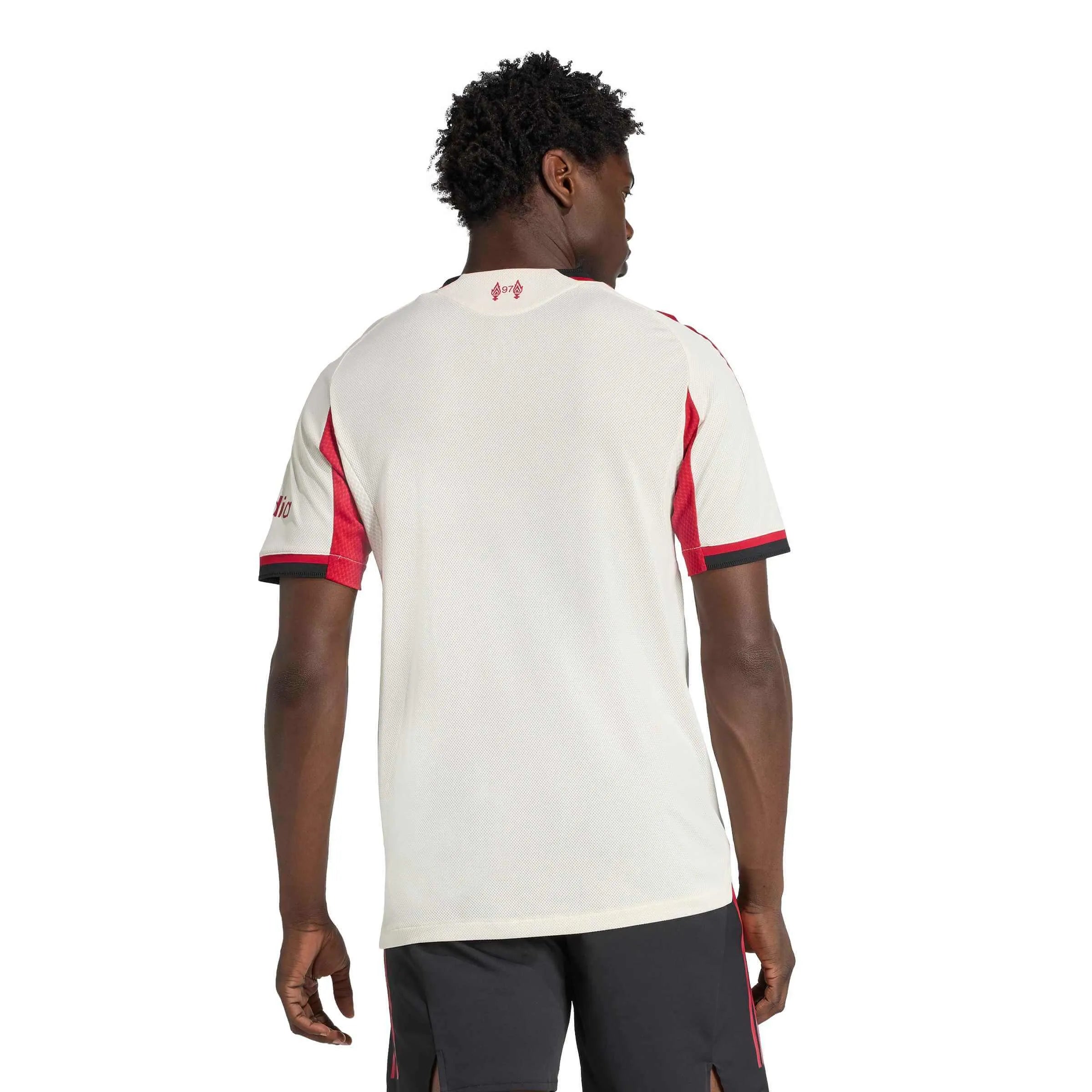 adidas 2025-26 Liverpool Men's Authentic Away Soccer Jersey (Model - Back)