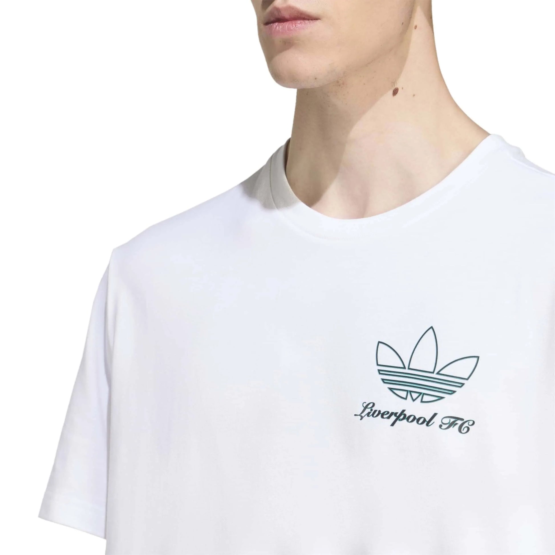 adidas 2025-26 Liverpool Men's Icon Graphic Tee (Detail 1)