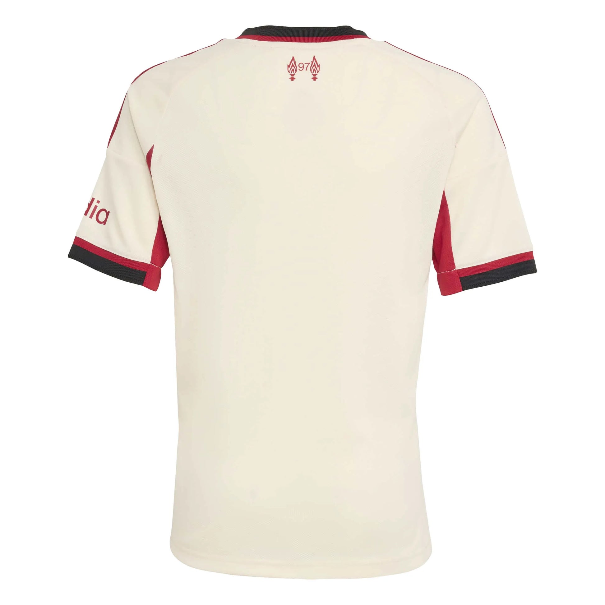 adidas 2025-26 Liverpool Youth Stadium Away Soccer Jersey (Back)