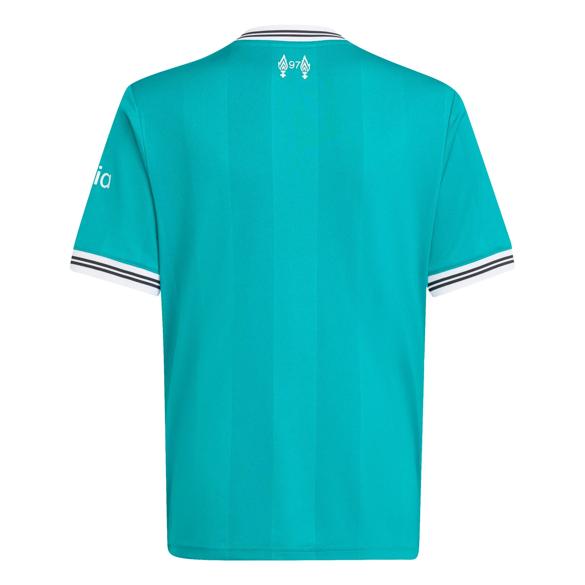 adidas 2025-26 Liverpool Youth Stadium Third Soccer Jersey (Back)