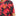 adidas 2025-26 Manchester United Men's Pre-Match Soccer Jersey