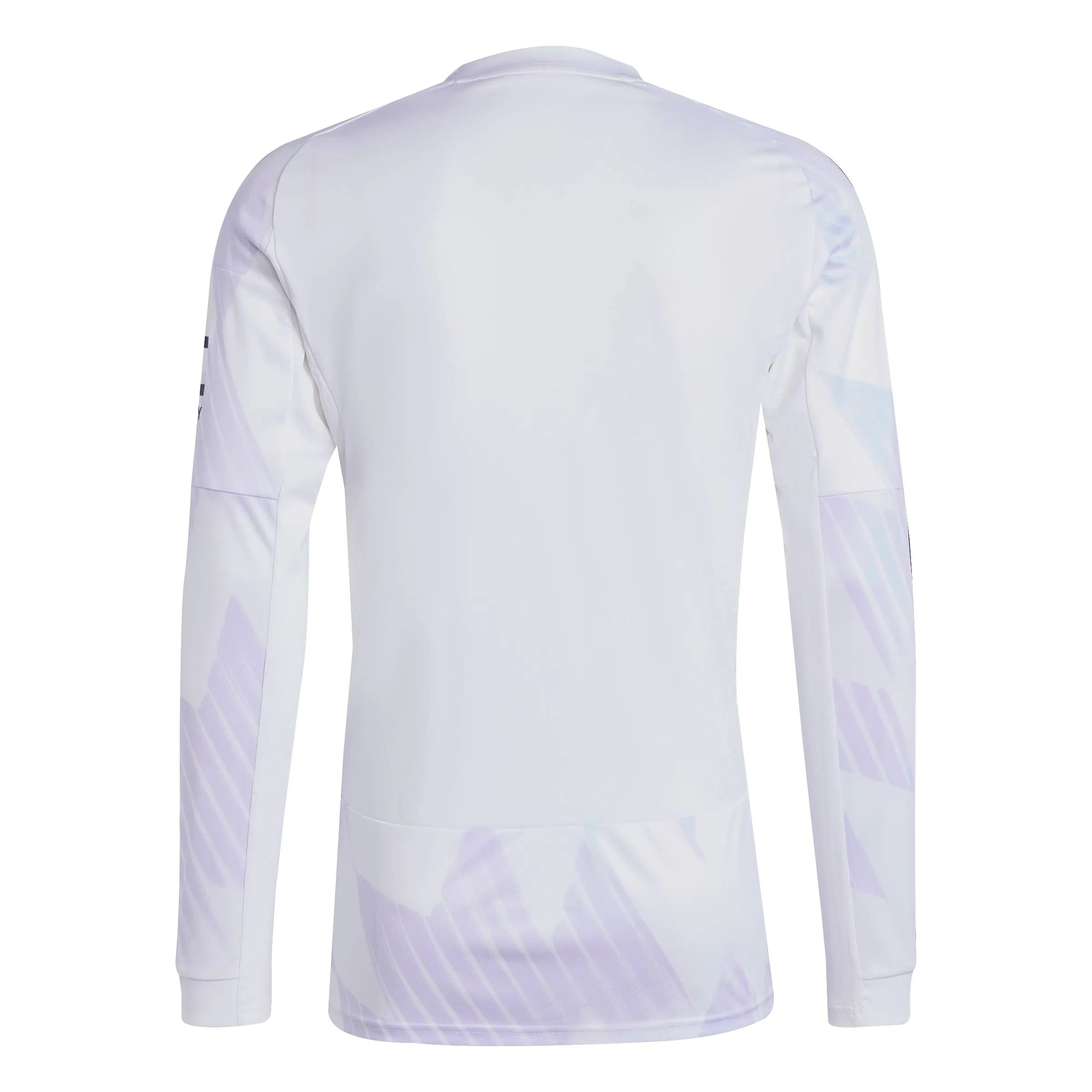 adidas 2025-26 Manchester United Men's Stadium Away Long-Sleeve Soccer Jersey (Back)
