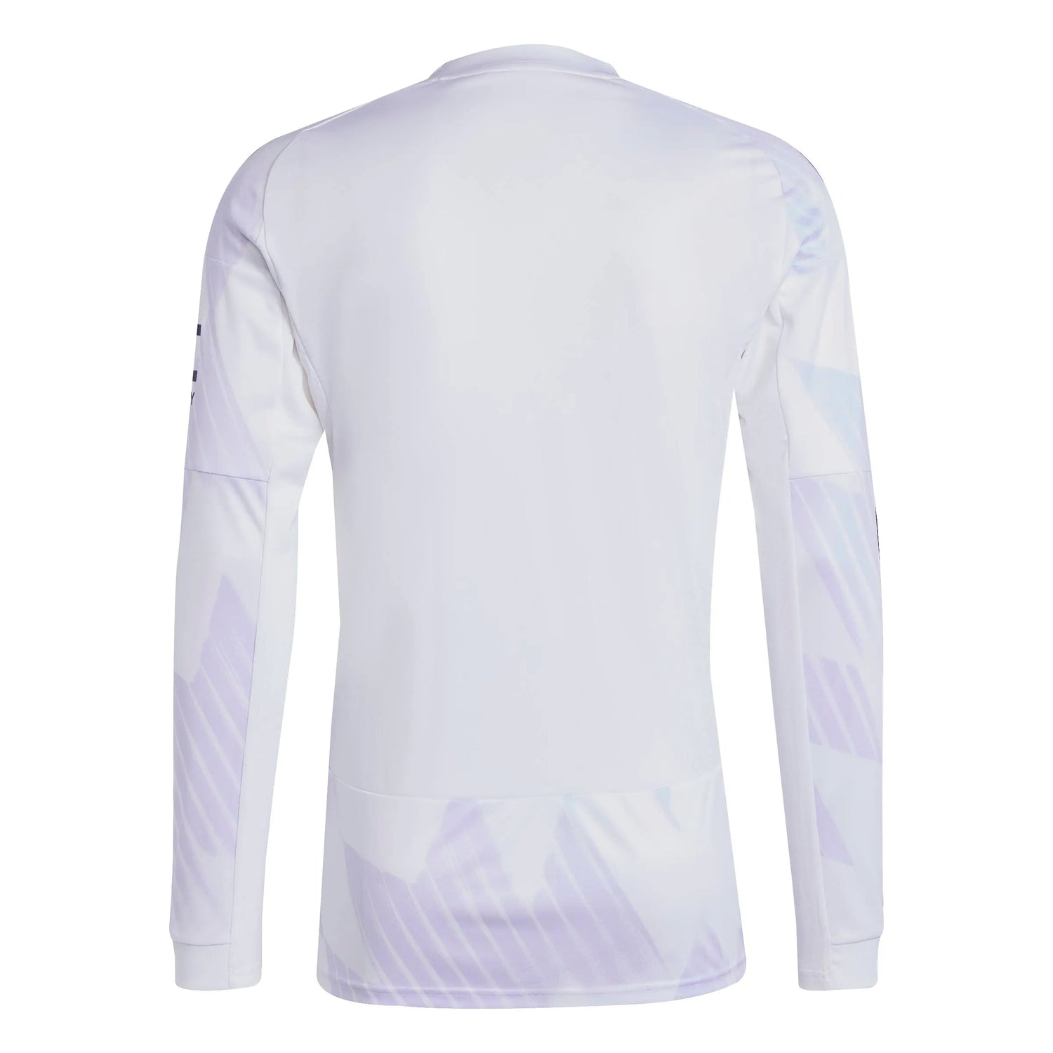 adidas 2025-26 Manchester United Men's Stadium Away Long-Sleeve Soccer Jersey (Back)