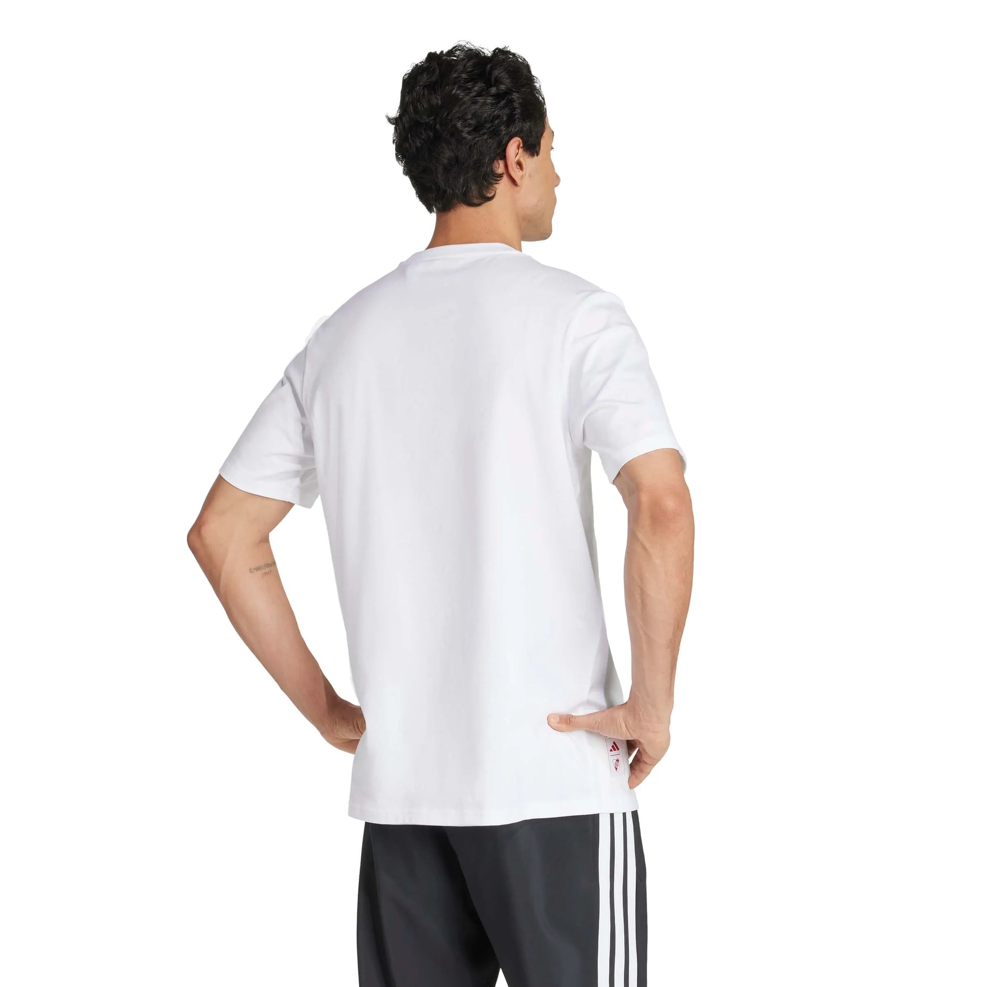 adidas 2025-26 River Plate Men's Seasonal Graphic Tee (Model - Back)