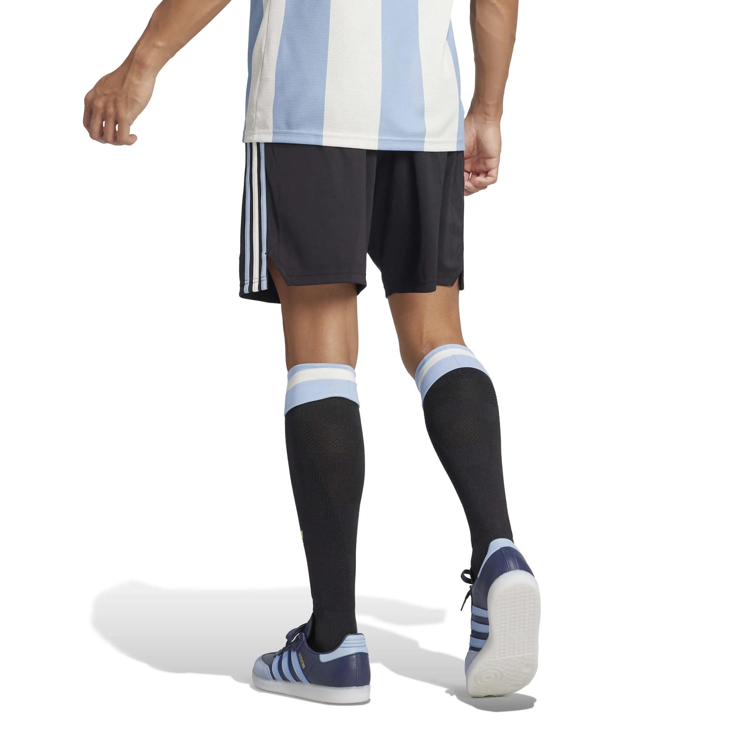 adidas 2025 Argentina Men's 50th Anniversary Shorts (Model - Back)