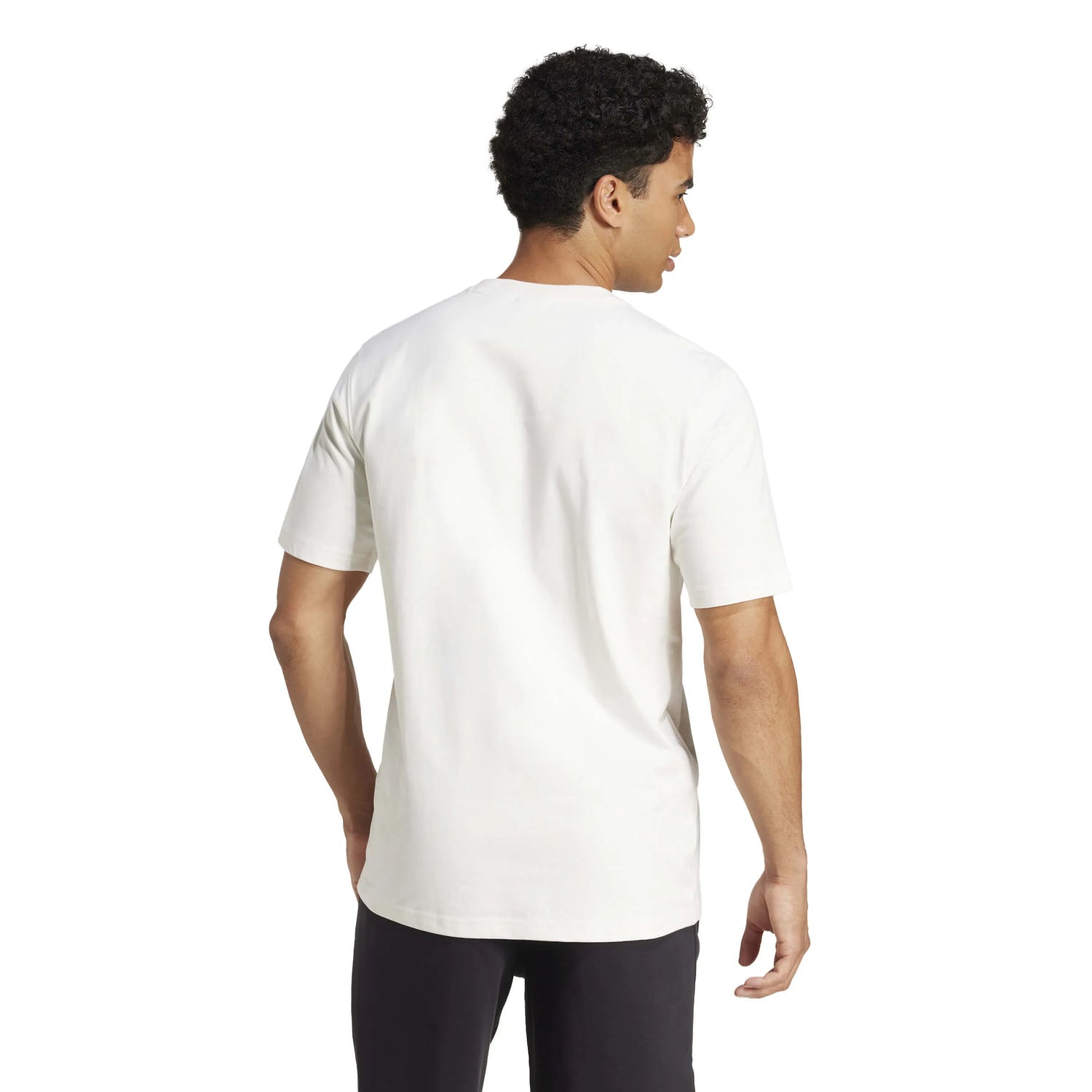 adidas 2025 Germany Men's Tee (Model - Back)