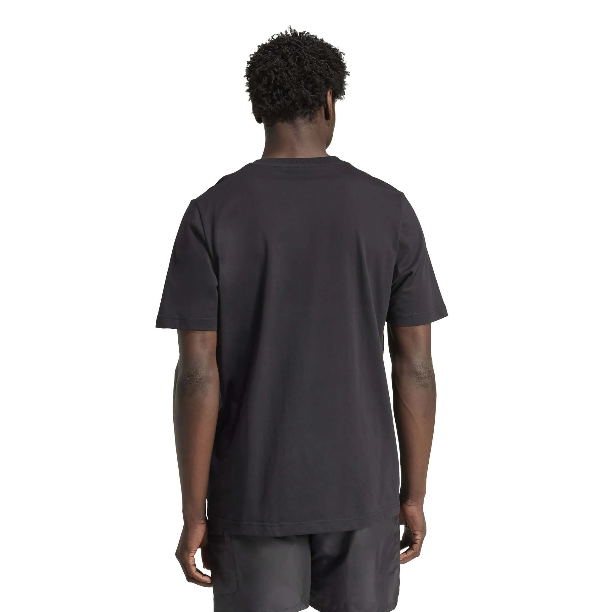 adidas 2025 Mexico Men's De Oro DNA Tee (Model - Back)