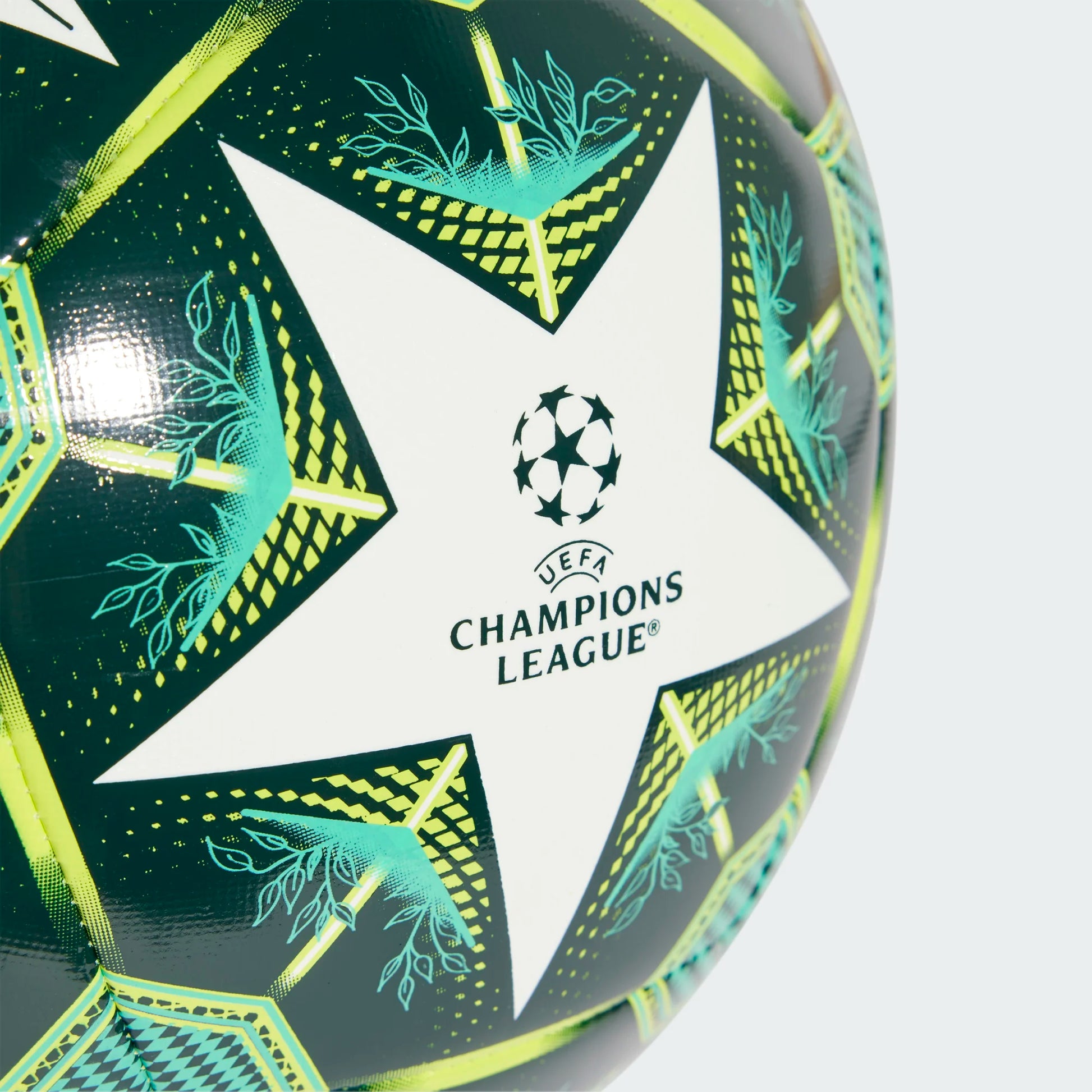 adidas 2025 UCL Training Ball (Detail 1)