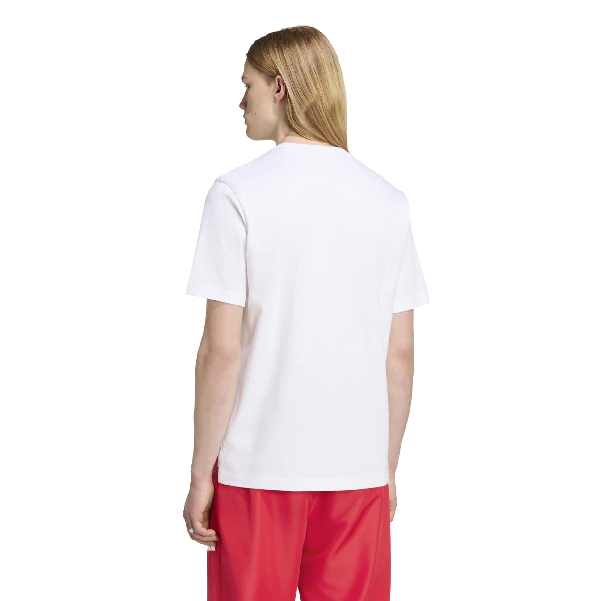 adidas 2026-27 Bayern Munich Men's Anthem Graphic Tee (Model - Back)