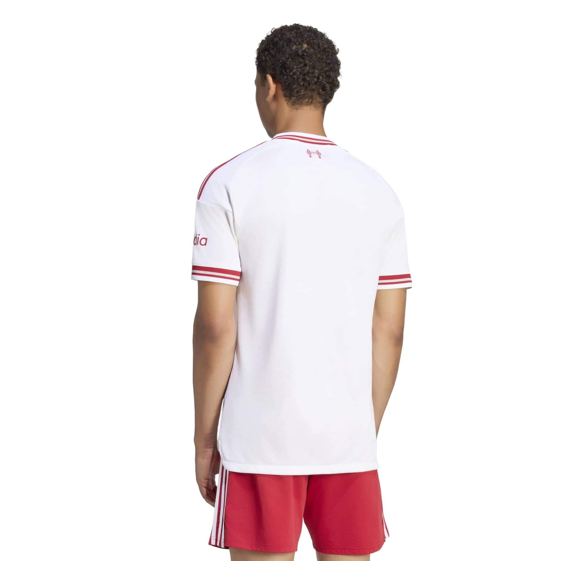 adidas 2026-27 Liverpool Men's Authentic Away Soccer Jersey (Model - Back)