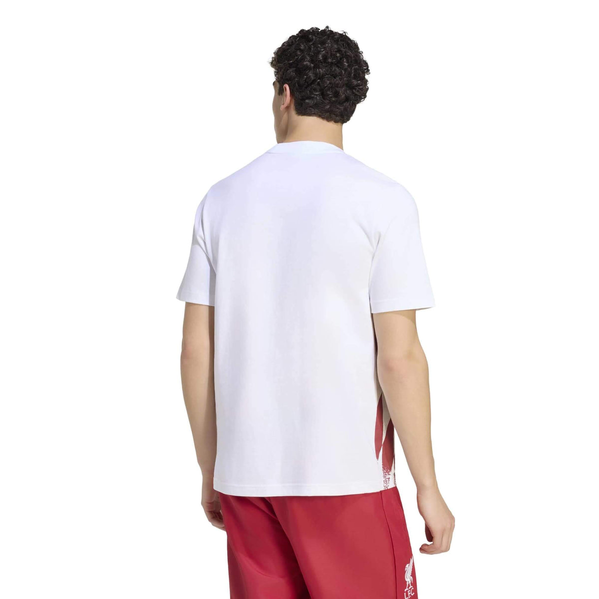 adidas 2026-27 Liverpool Men's Stadium Graphic Tee (Model - Back)
