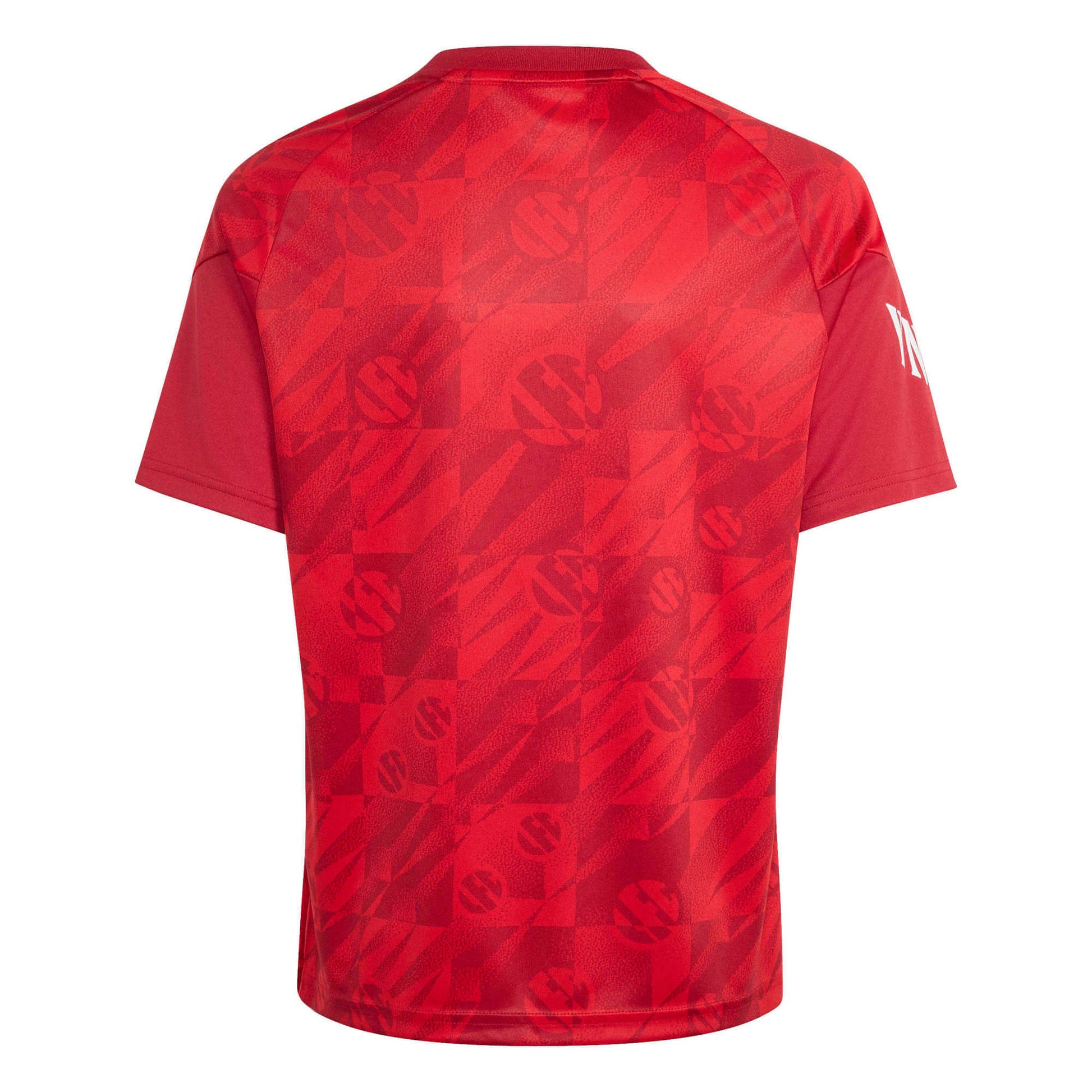 adidas 2026-27 Liverpool Youth Pre-Match Soccer Jersey (Back)