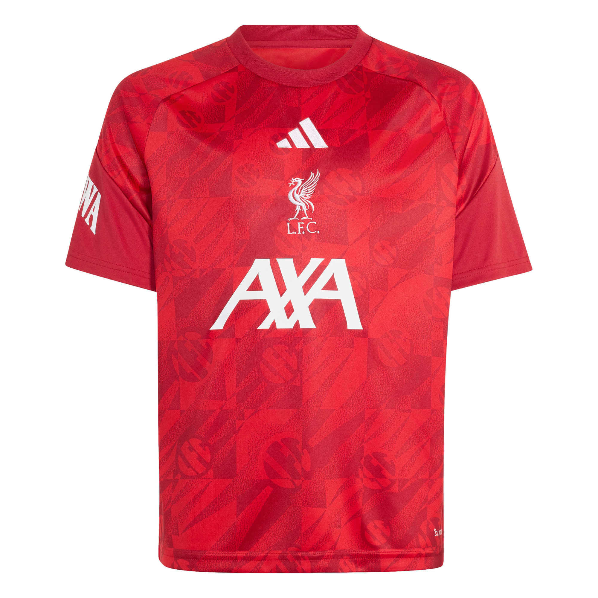 adidas 2026-27 Liverpool Youth Pre-Match Soccer Jersey (Front)