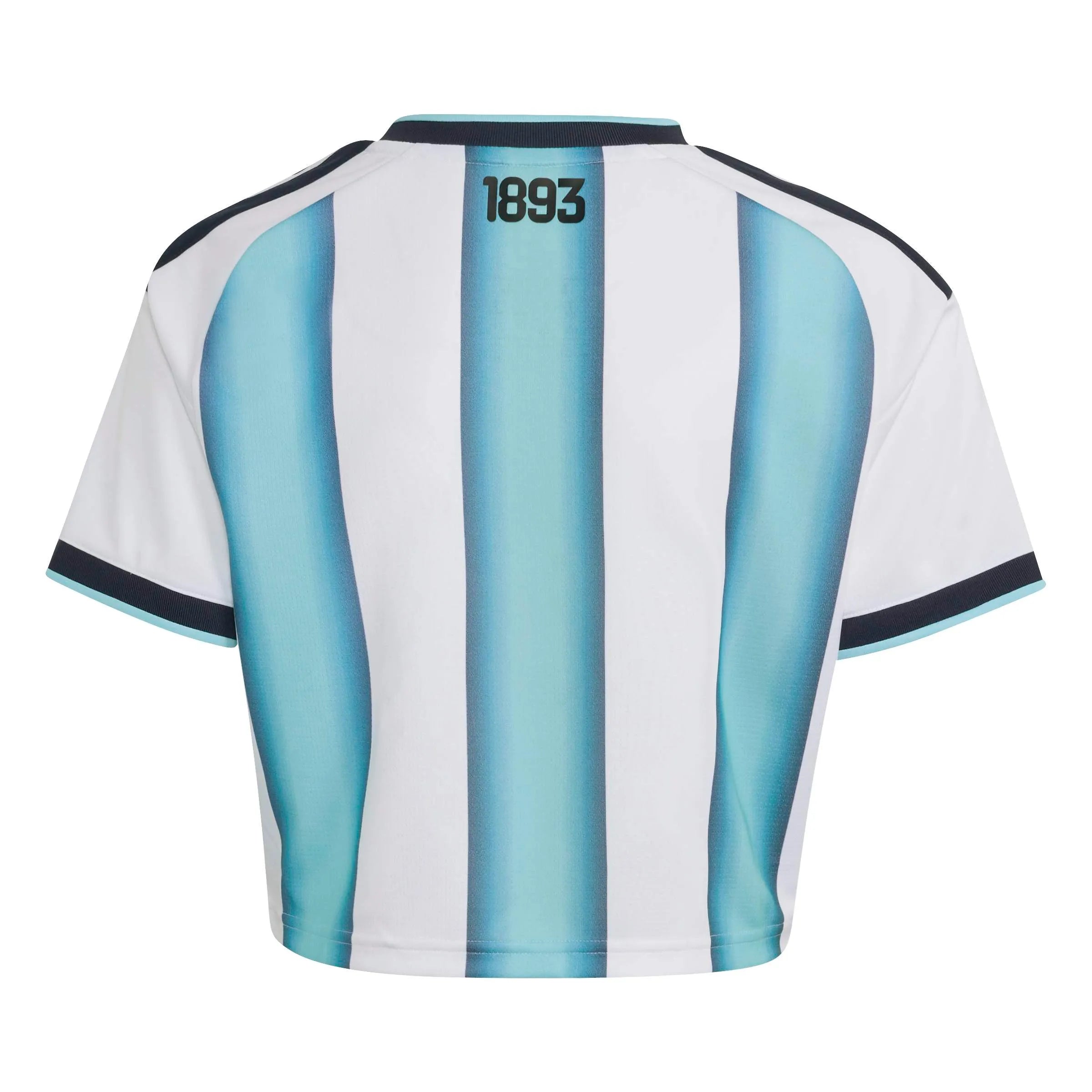 adidas 2026 Argentina Women's Stadium Home Cropped Soccer Jersey (Back)