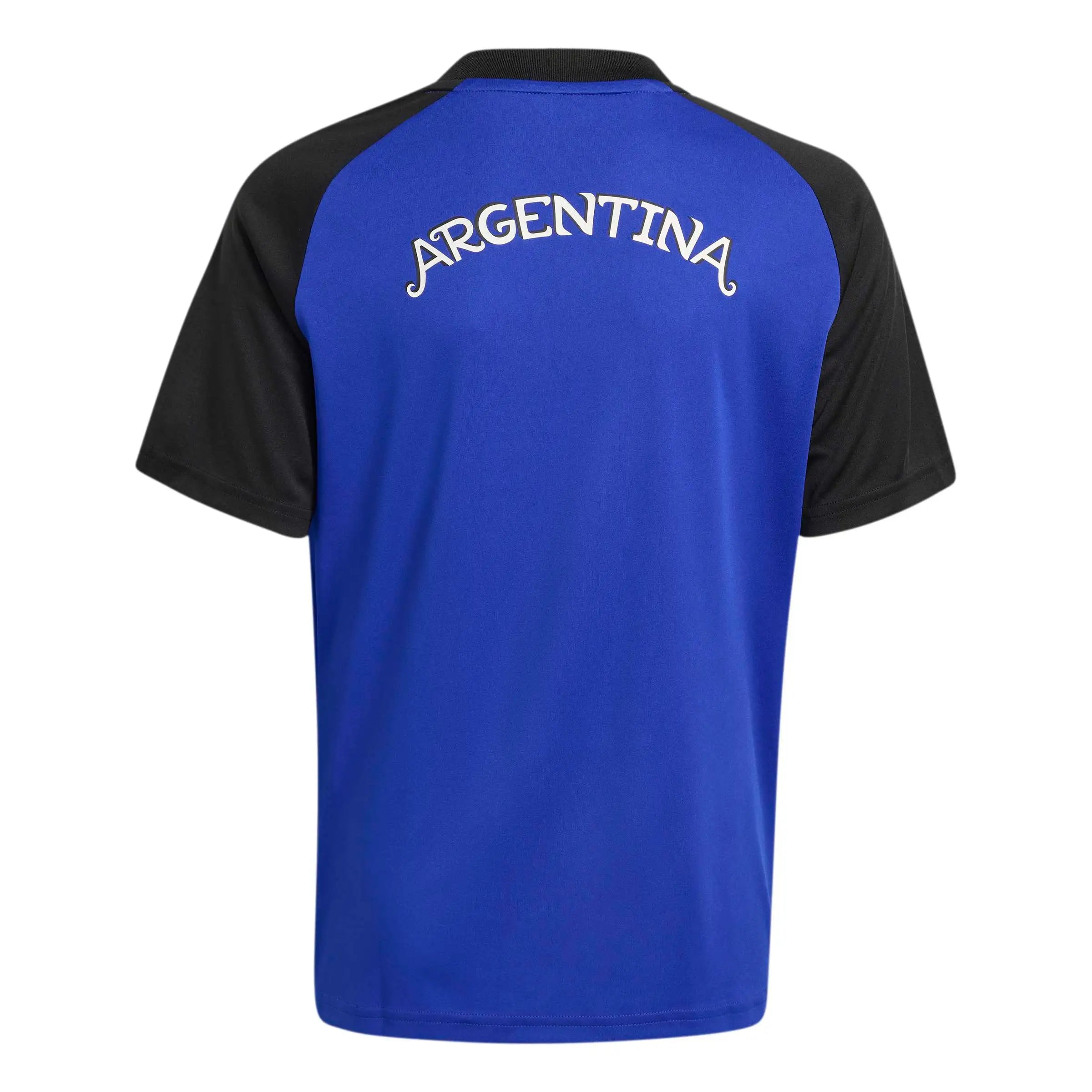 adidas 2026 Argentina Youth Pre-Match Soccer Jersey (Back)