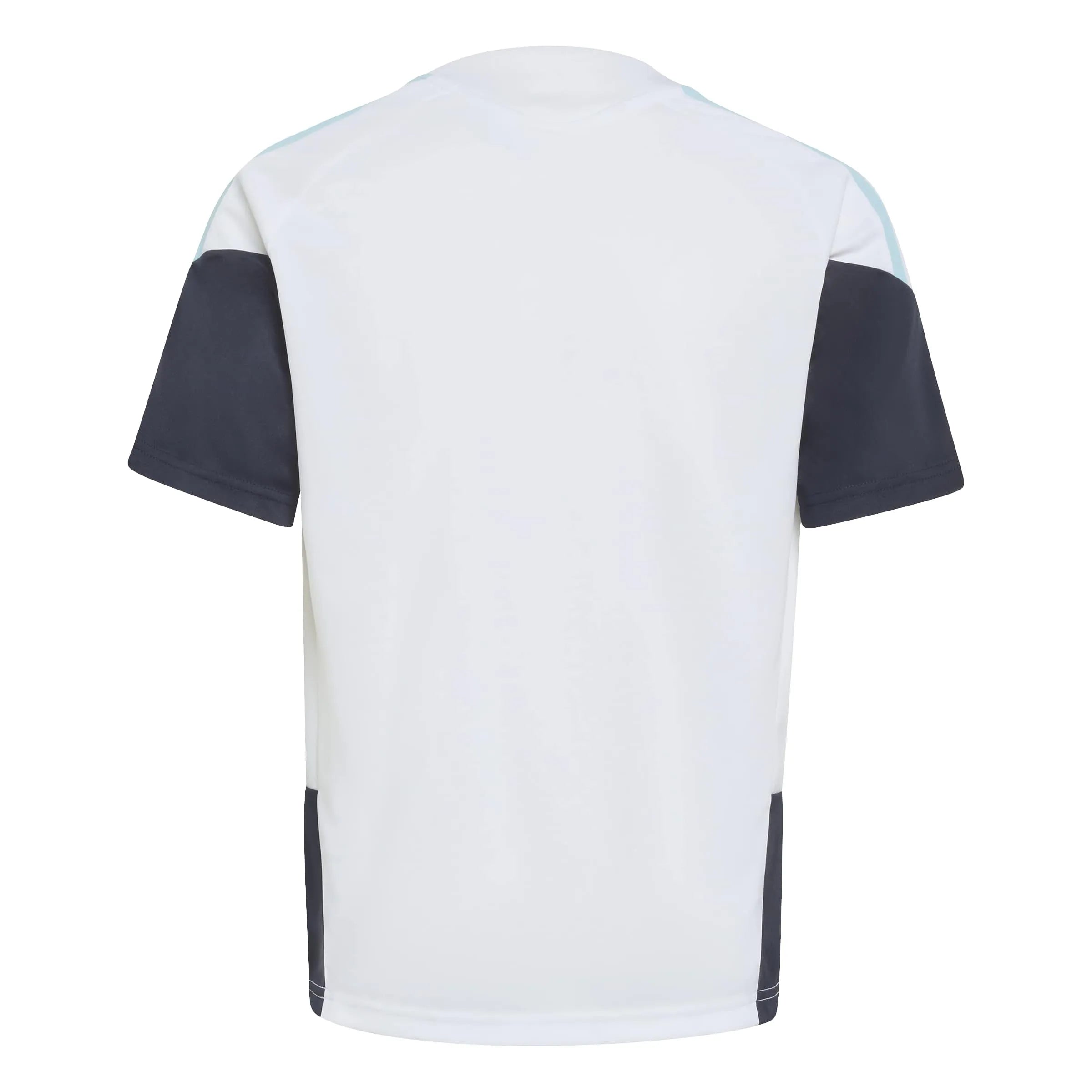adidas 2026 Argentina Youth Training Soccer Jersey (Back)