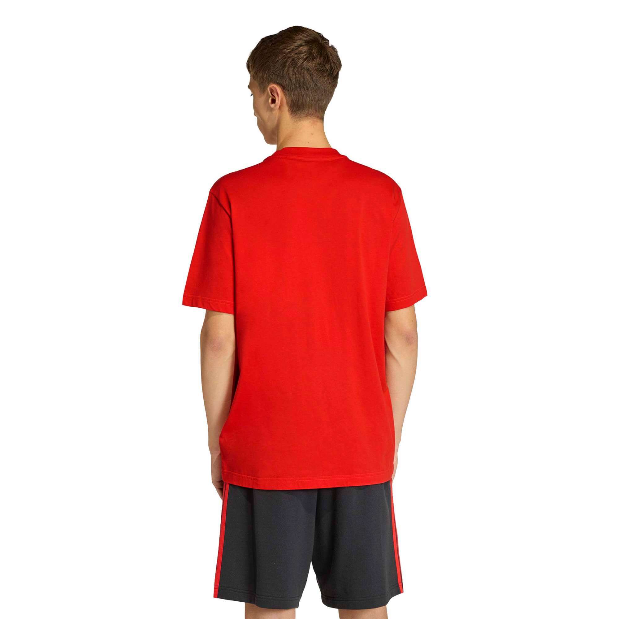 adidas 2026 Belgium Men's DNA Graphic Tee (Model - Back)