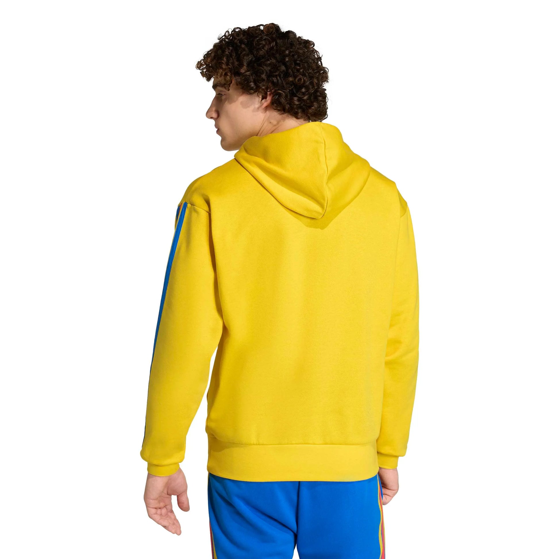 adidas 2026 Colombia Men's DNA Fleece Hoodie (Model - Back)