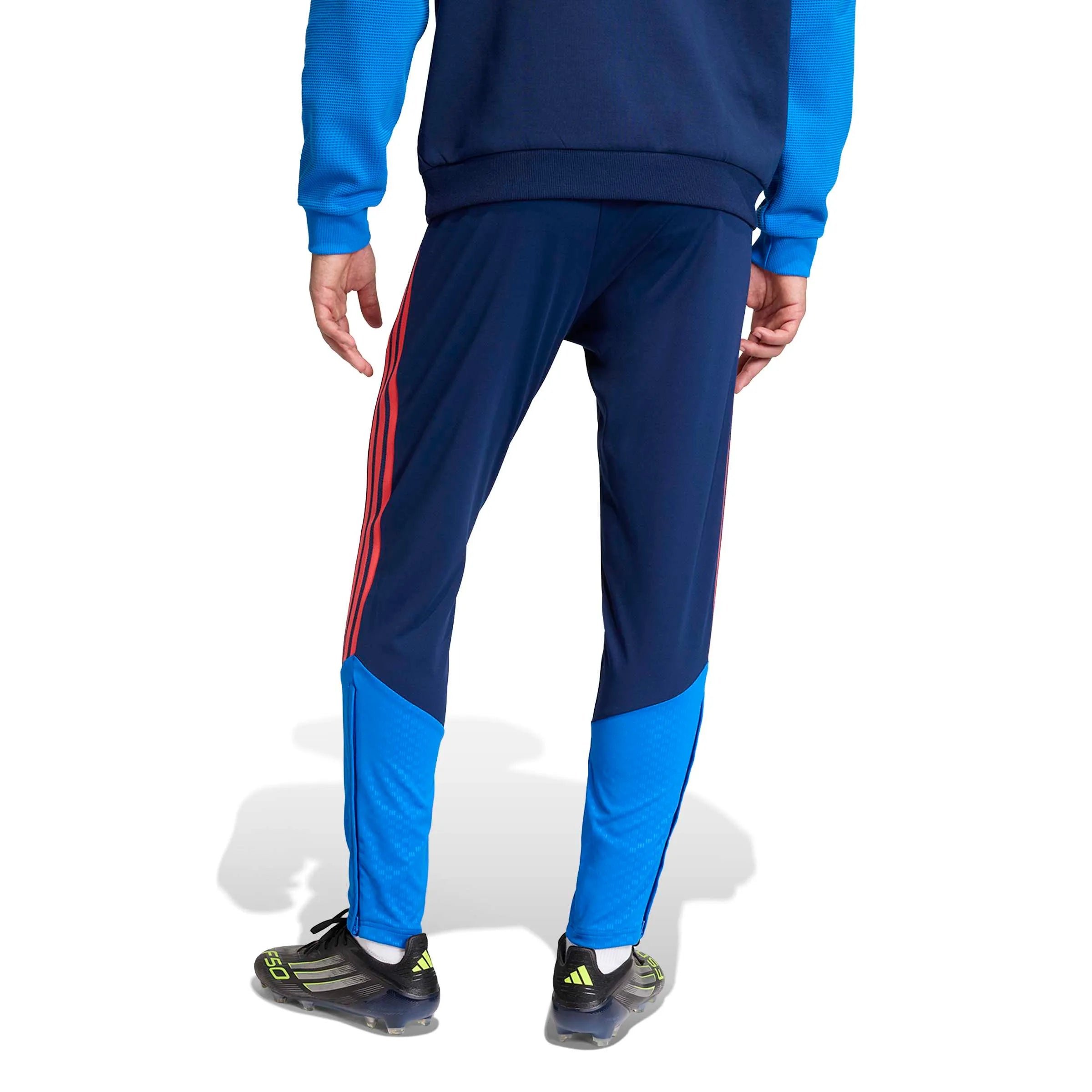 adidas 2026 Colombia Men's Training Pants (Model - Back)