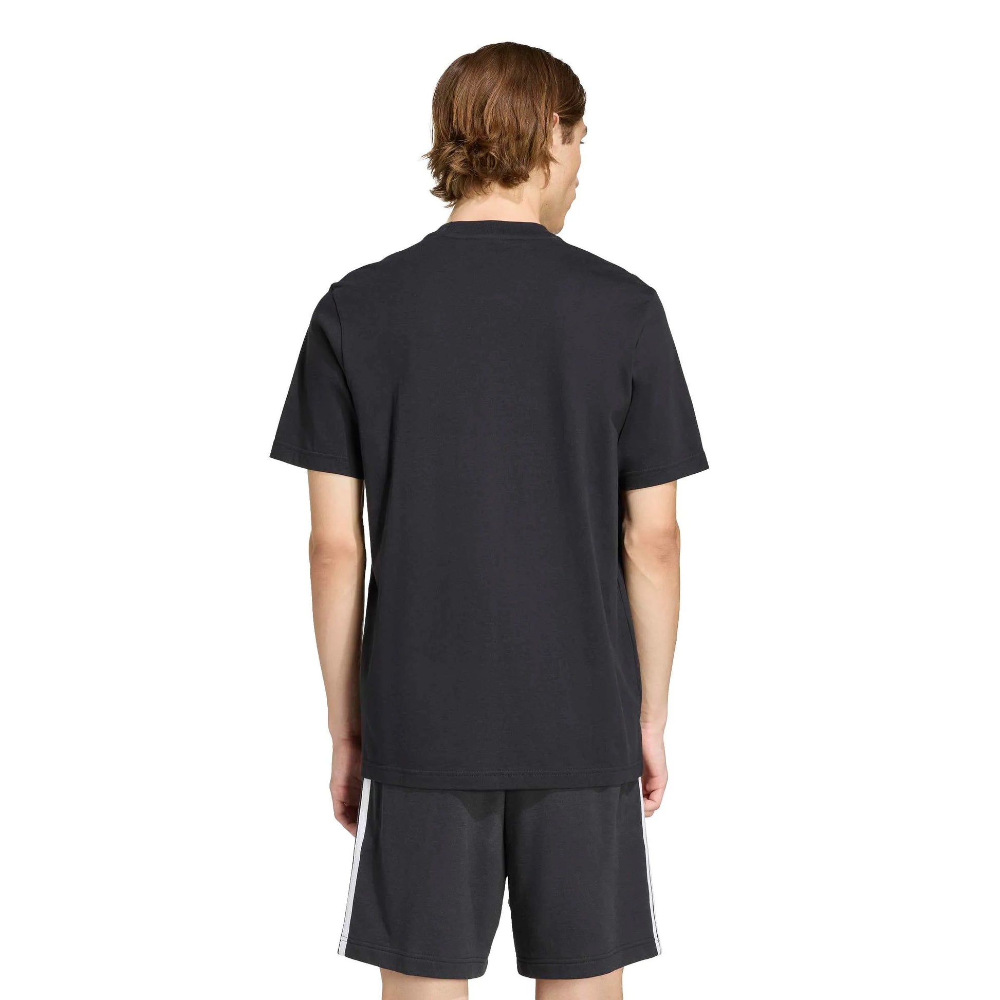 adidas 2026 Germany Men's DNA Graphic Tee (Model - Back)