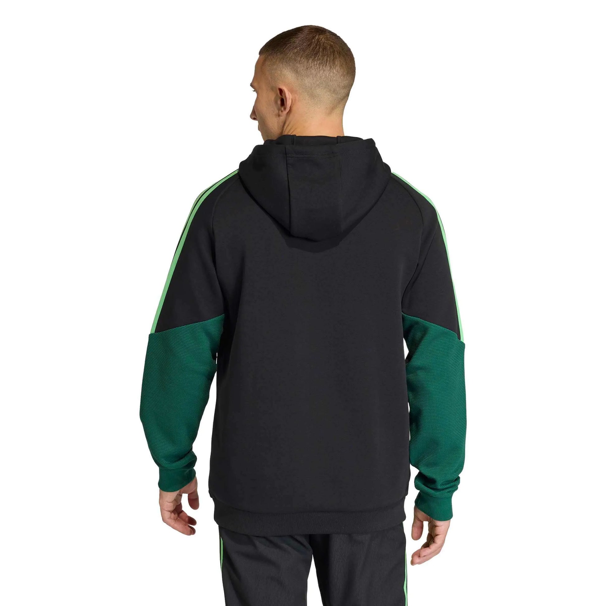 adidas 2026 Mexico Men's Tiro Hoodie (Model - Back)