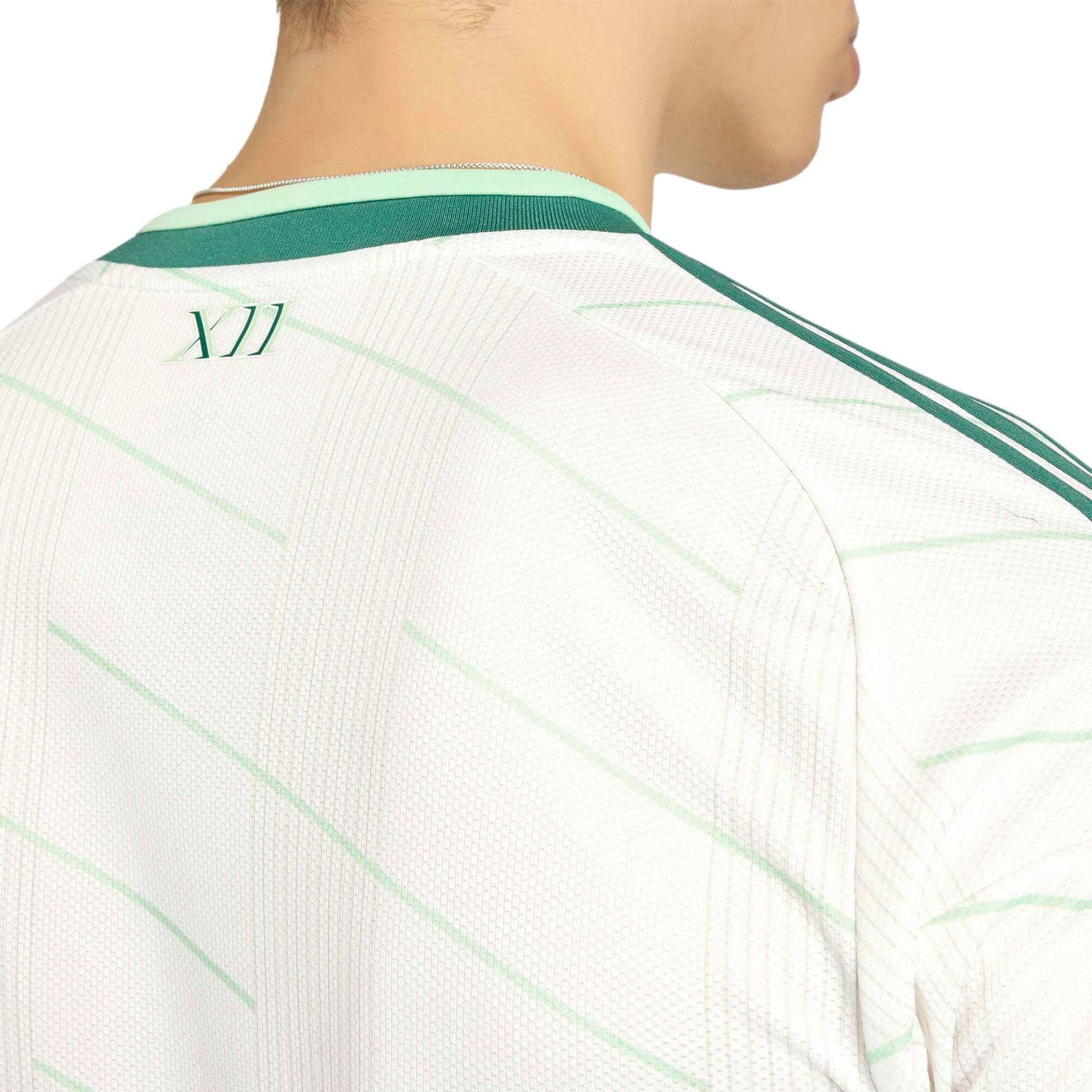 adidas 2026 Northern Ireland Men's Stadium Away Soccer Jersey (Detail 2)
