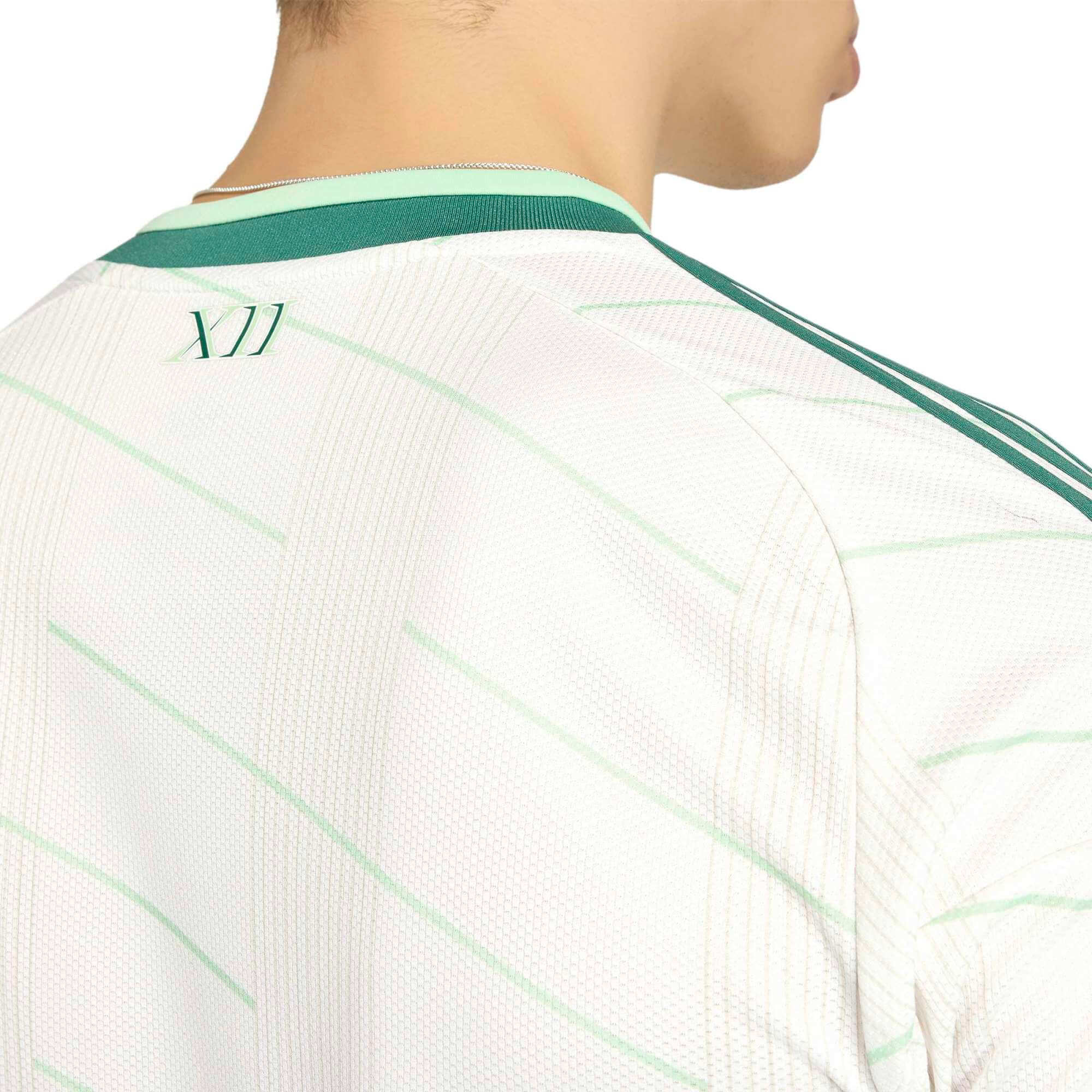 adidas 2026 Northern Ireland Men's Stadium Away Soccer Jersey (Detail 2)