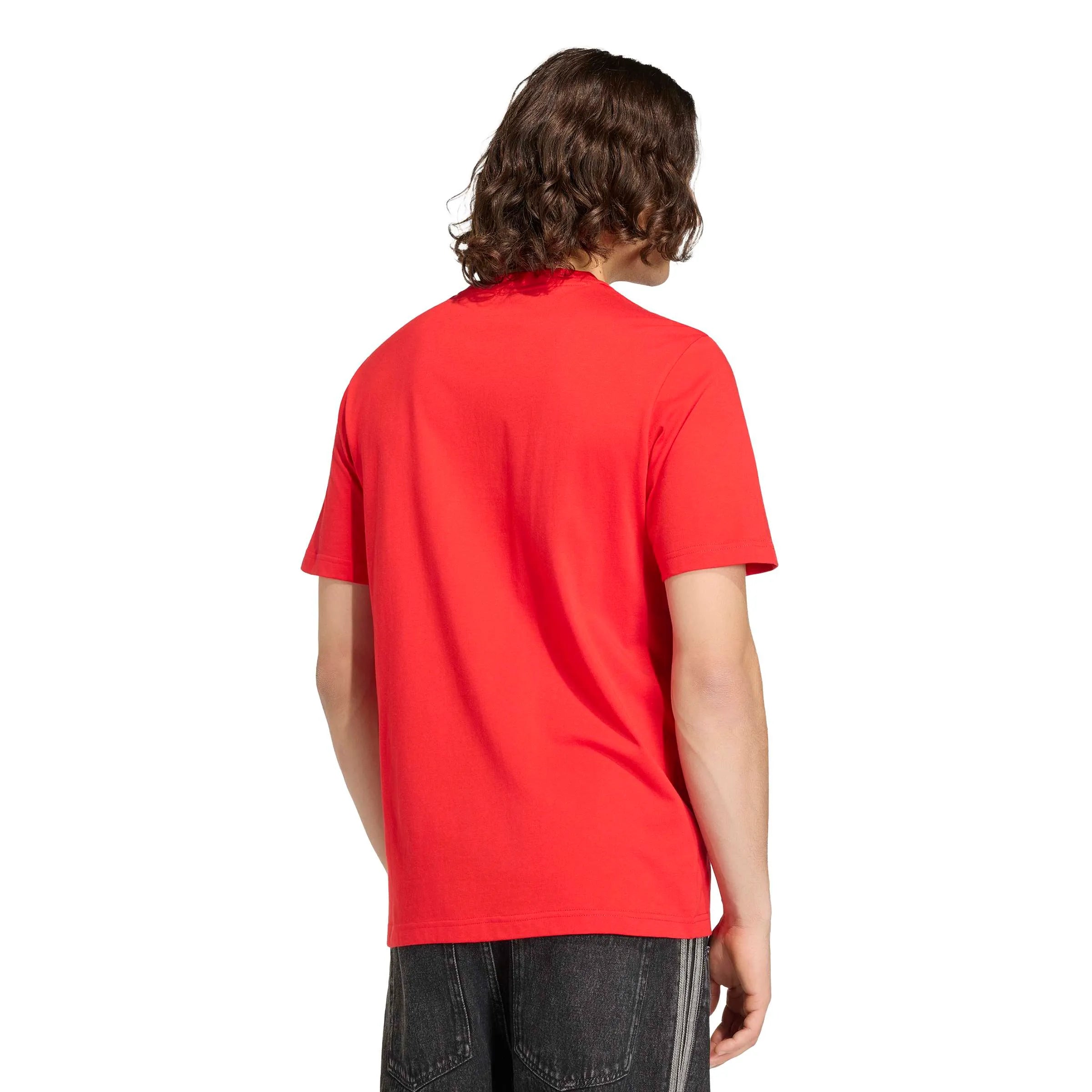 adidas 2026 Spain Men's DNA Graphic Tee (Model - Back)